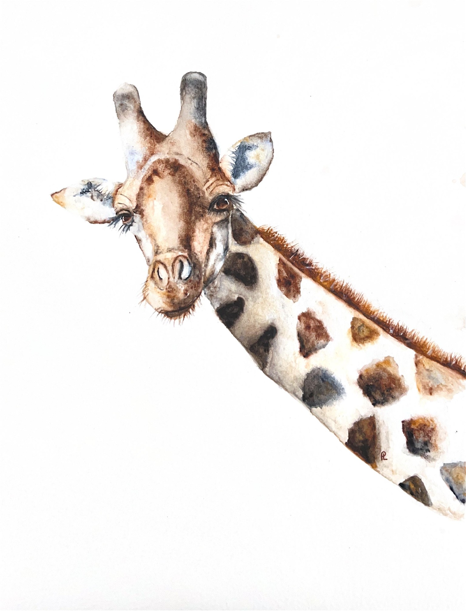 Giraffe - image 1 - student project