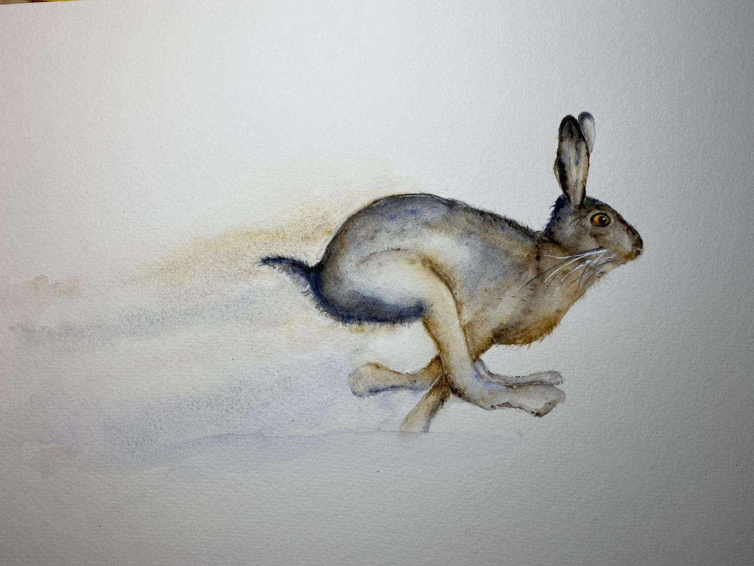 Galloping Hare - image 1 - student project