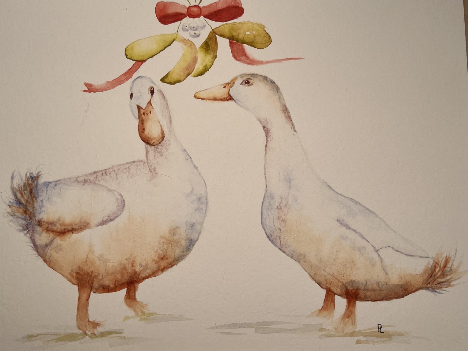 Festive ducks - image 1 - student project