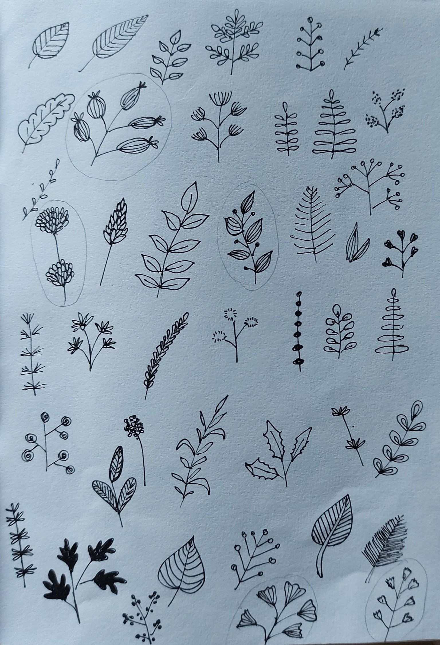 Botanical Flowers and Leaves - image 2 - student project