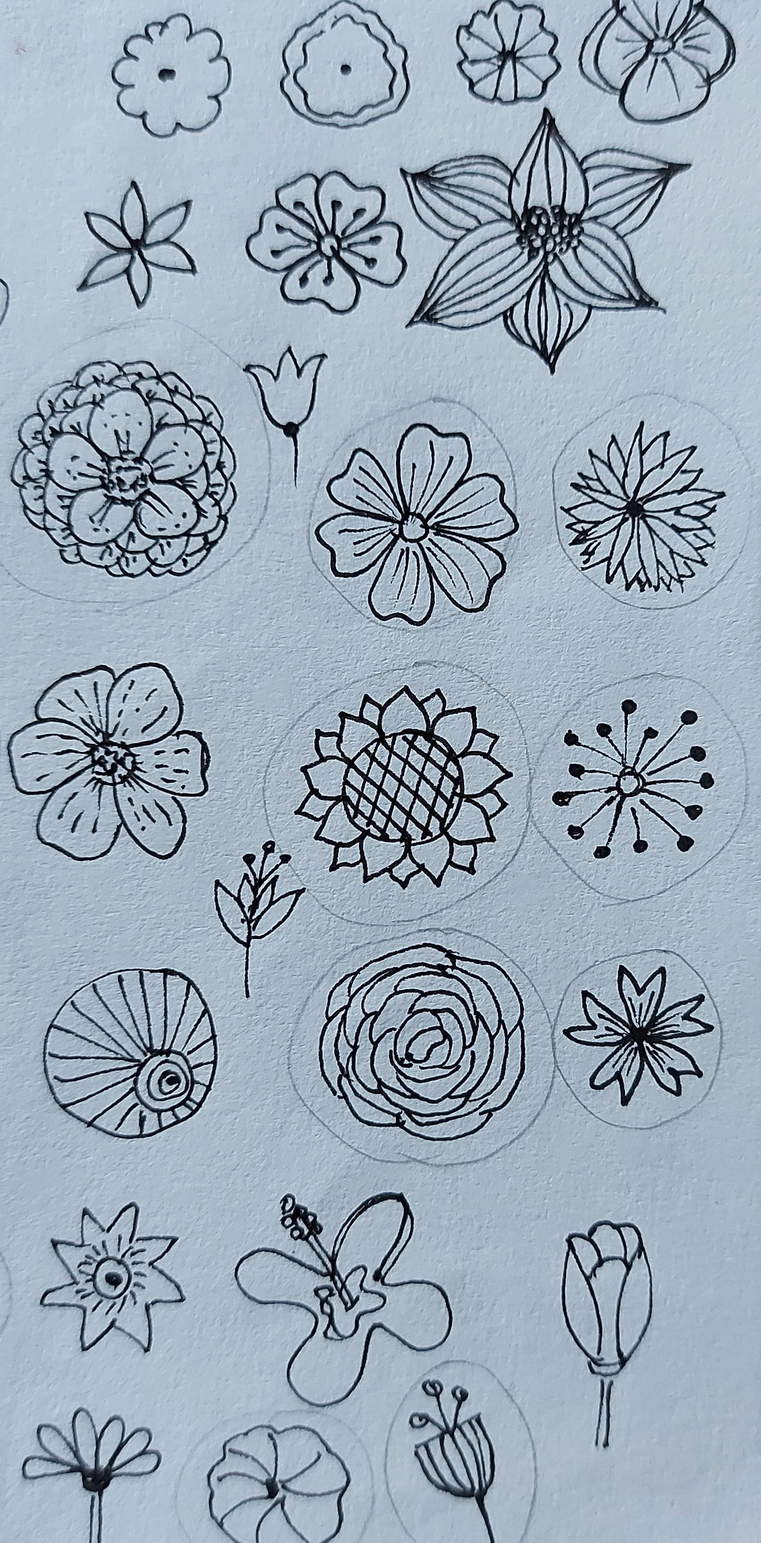 Botanical Flowers and Leaves - image 1 - student project