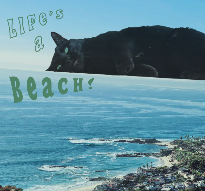 Catnap on Horizon - image 1 - student project