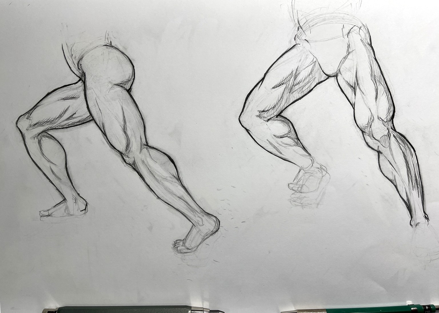 Leg muscle studies - image 3 - student project