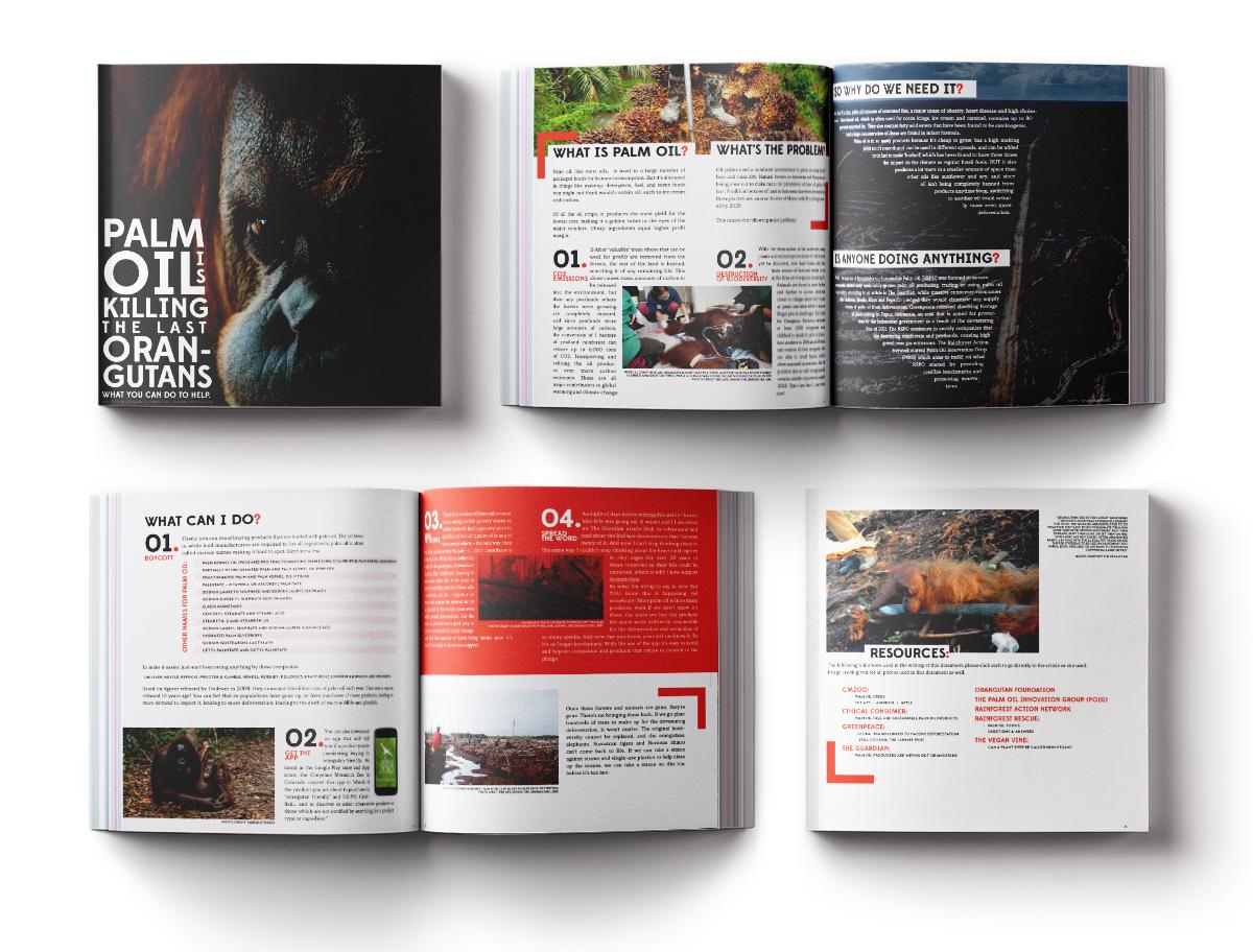 Palm Oil  & Orangutans - image 1 - student project
