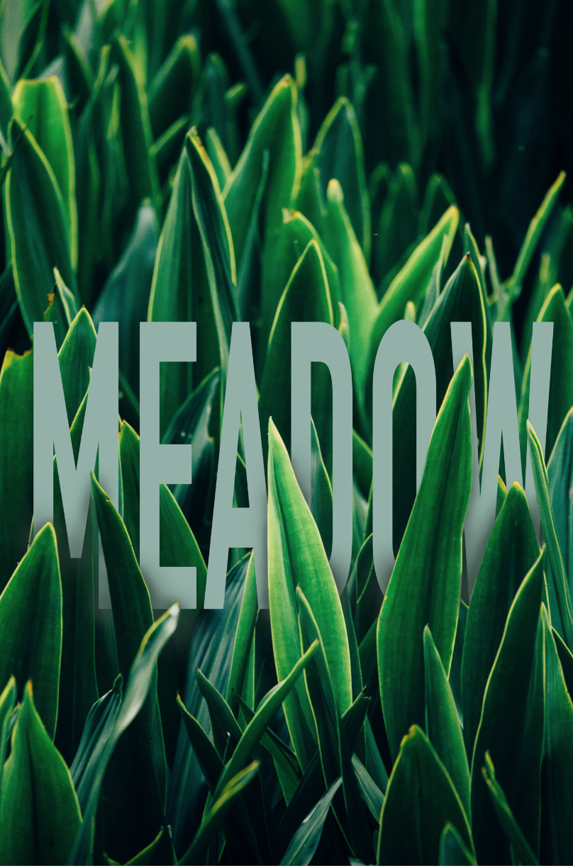 Adobe Photoshop CC – Essentials Training Project - image 3 - student project