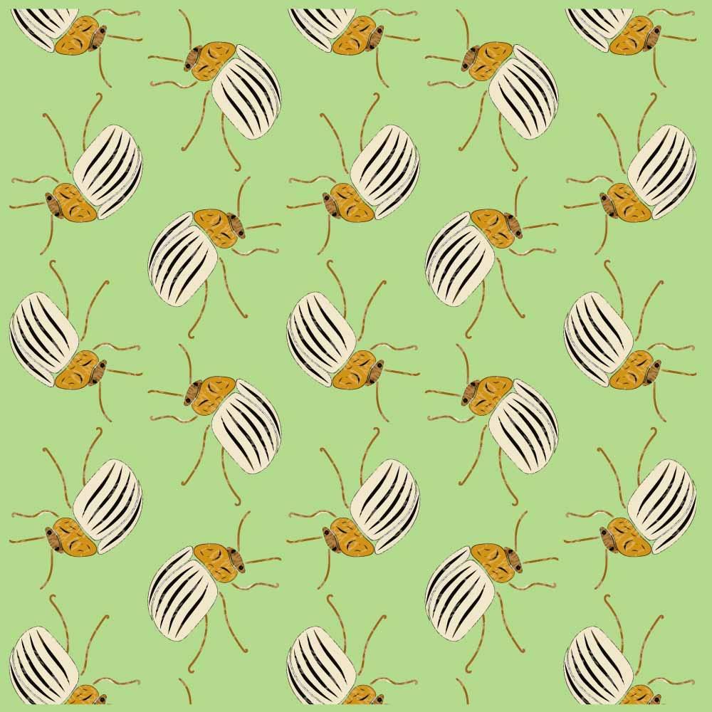 Textured bugs - image 1 - student project