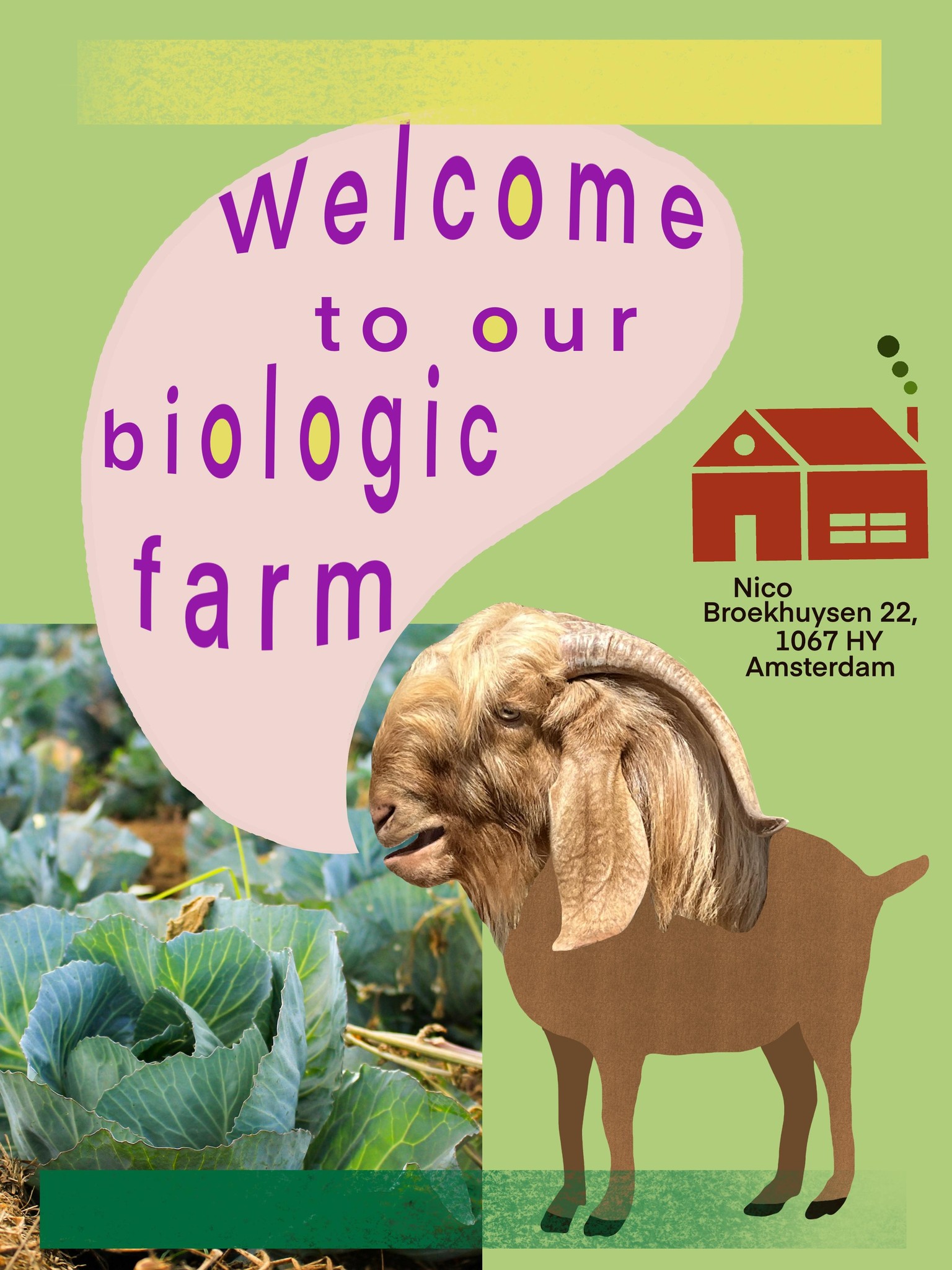 Goat farm advertising - image 1 - student project
