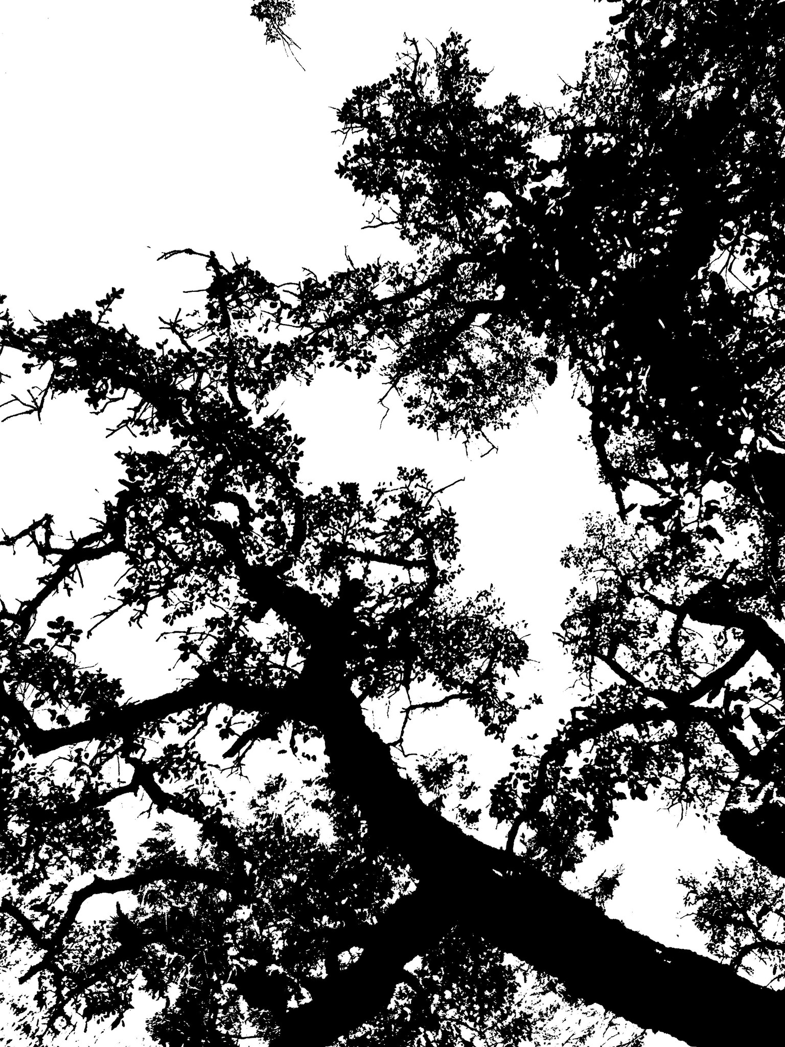 Textures - image 7 - student project