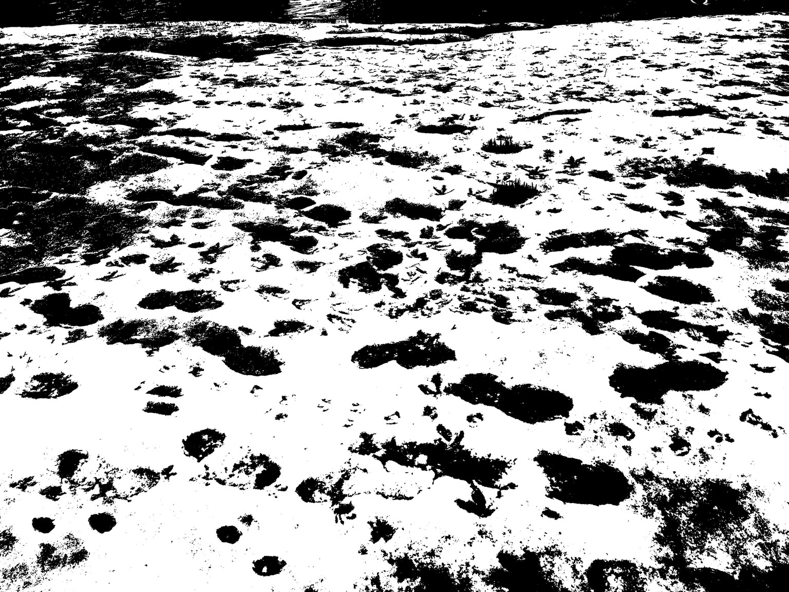 Textures - image 8 - student project