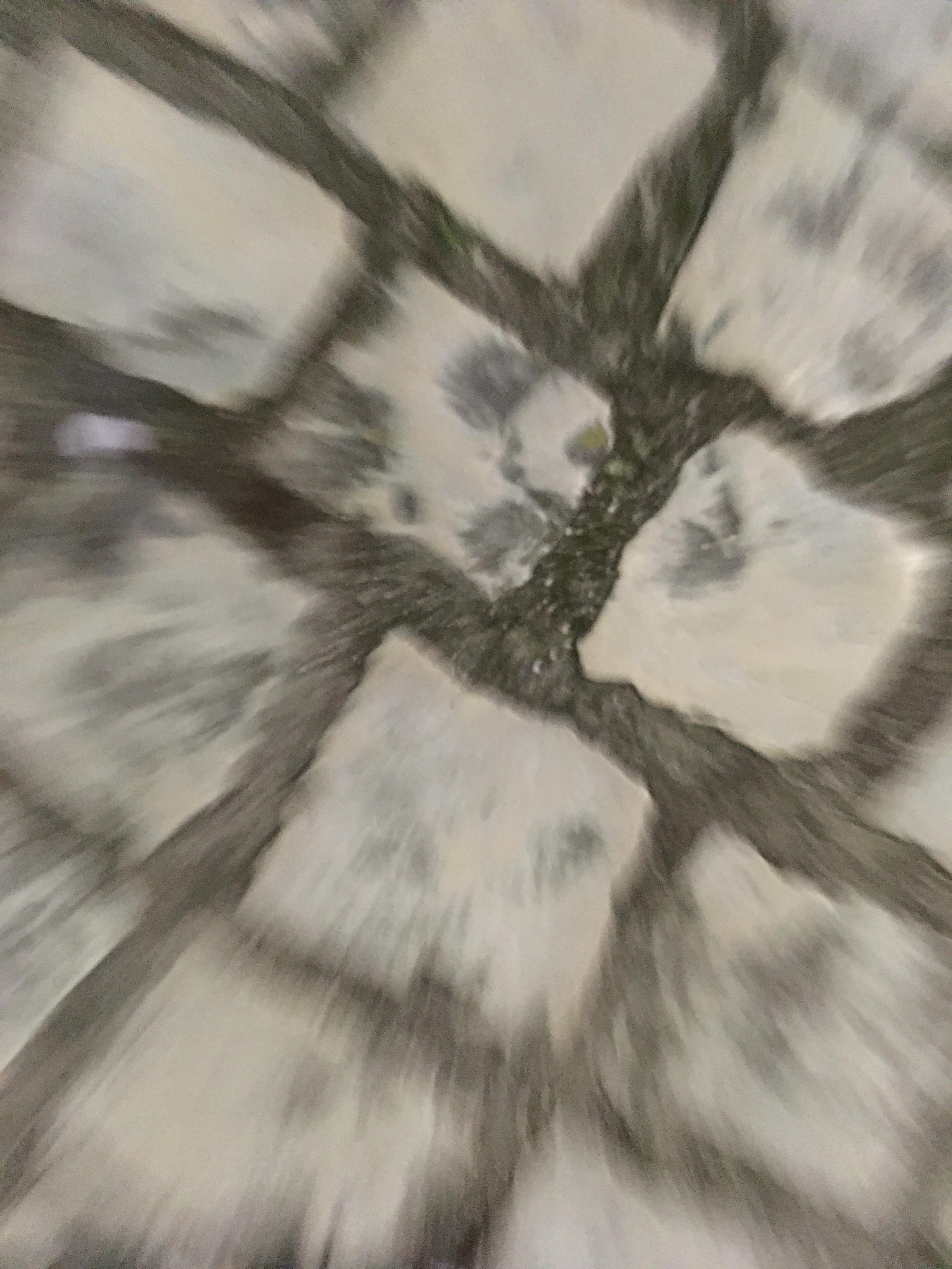 Textures - image 4 - student project