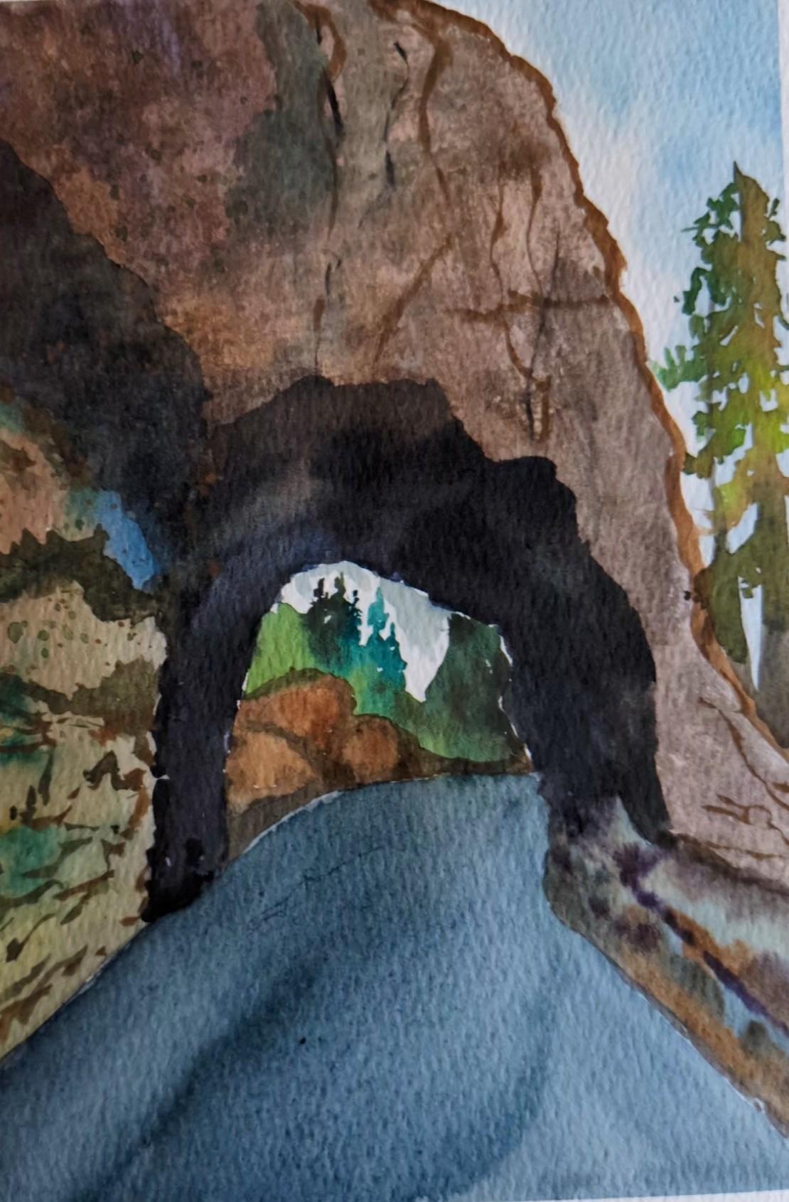 Postcards from the visit to the Black hills (South Dakota) - image 1 - student project