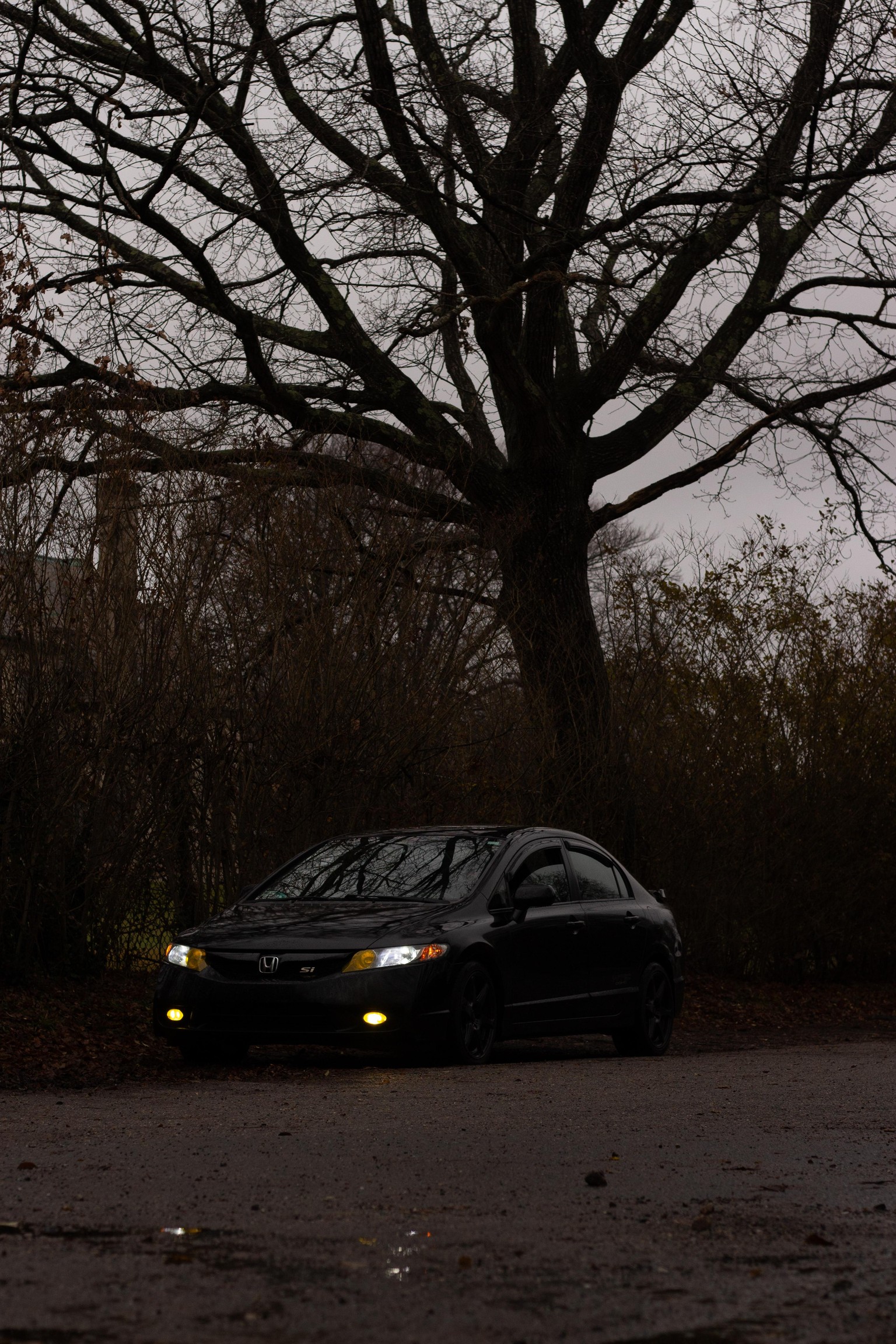 Car photography - image 2 - student project