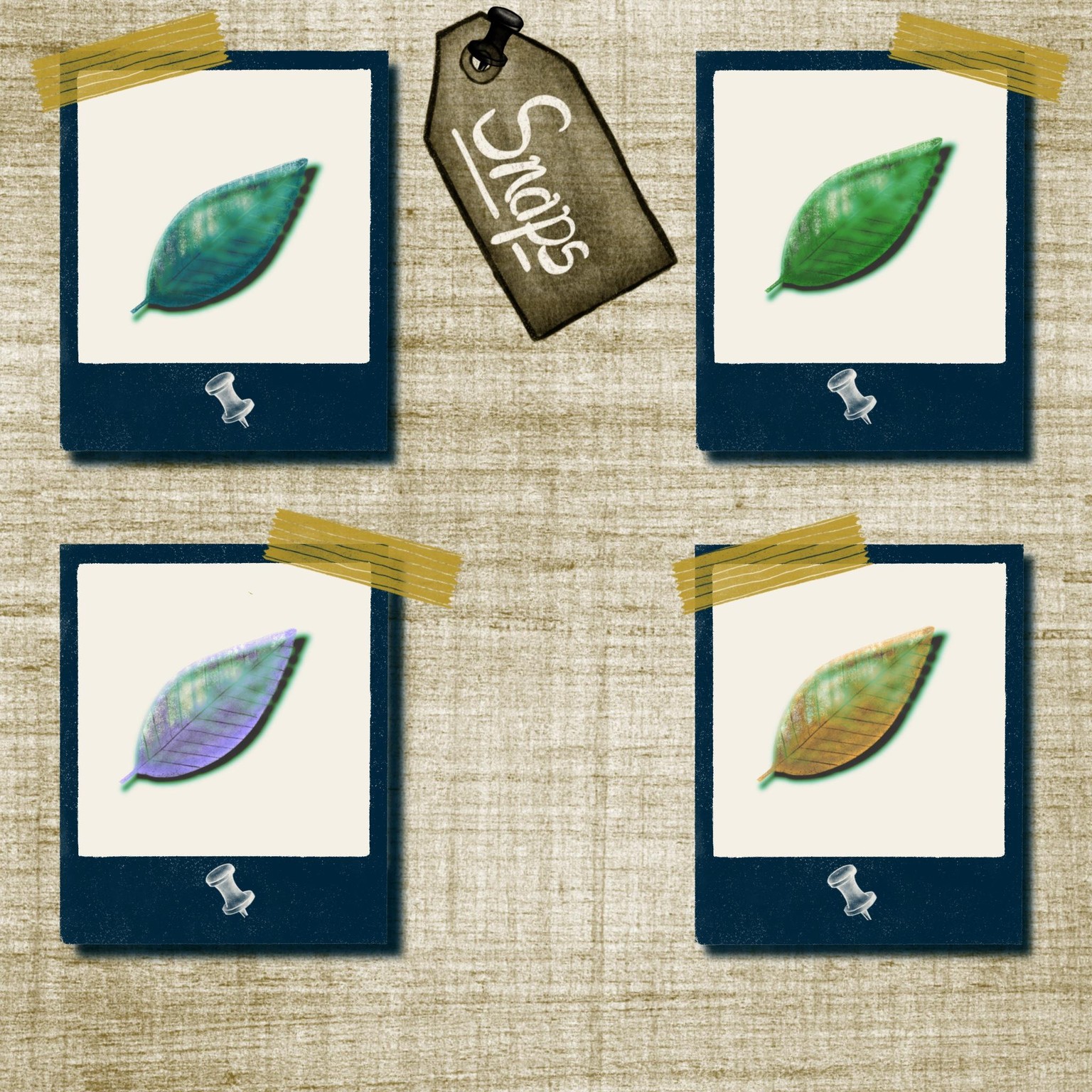 Scrapbook - image 2 - student project