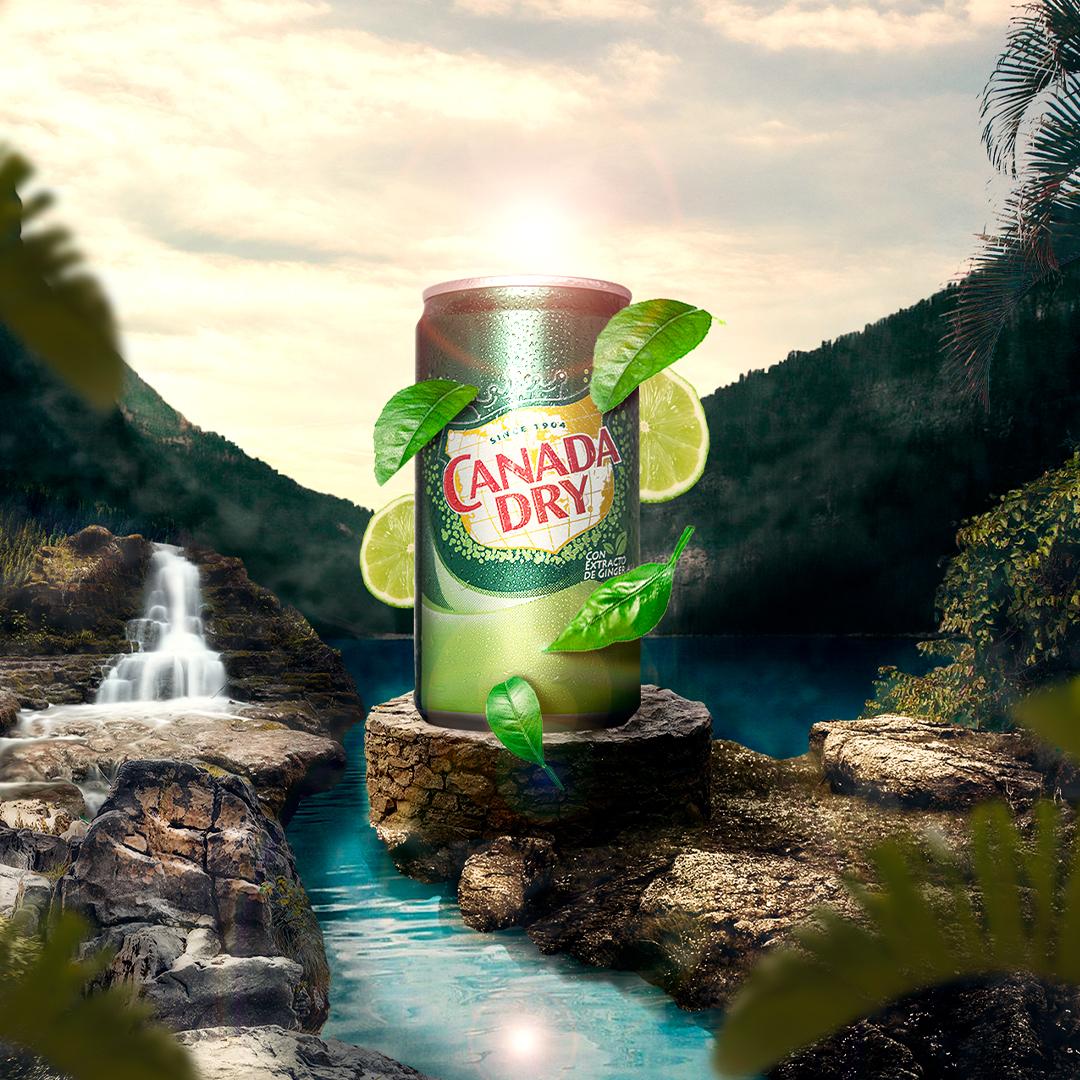Keysel Harewood - Proyecto Final - image 2 - student project