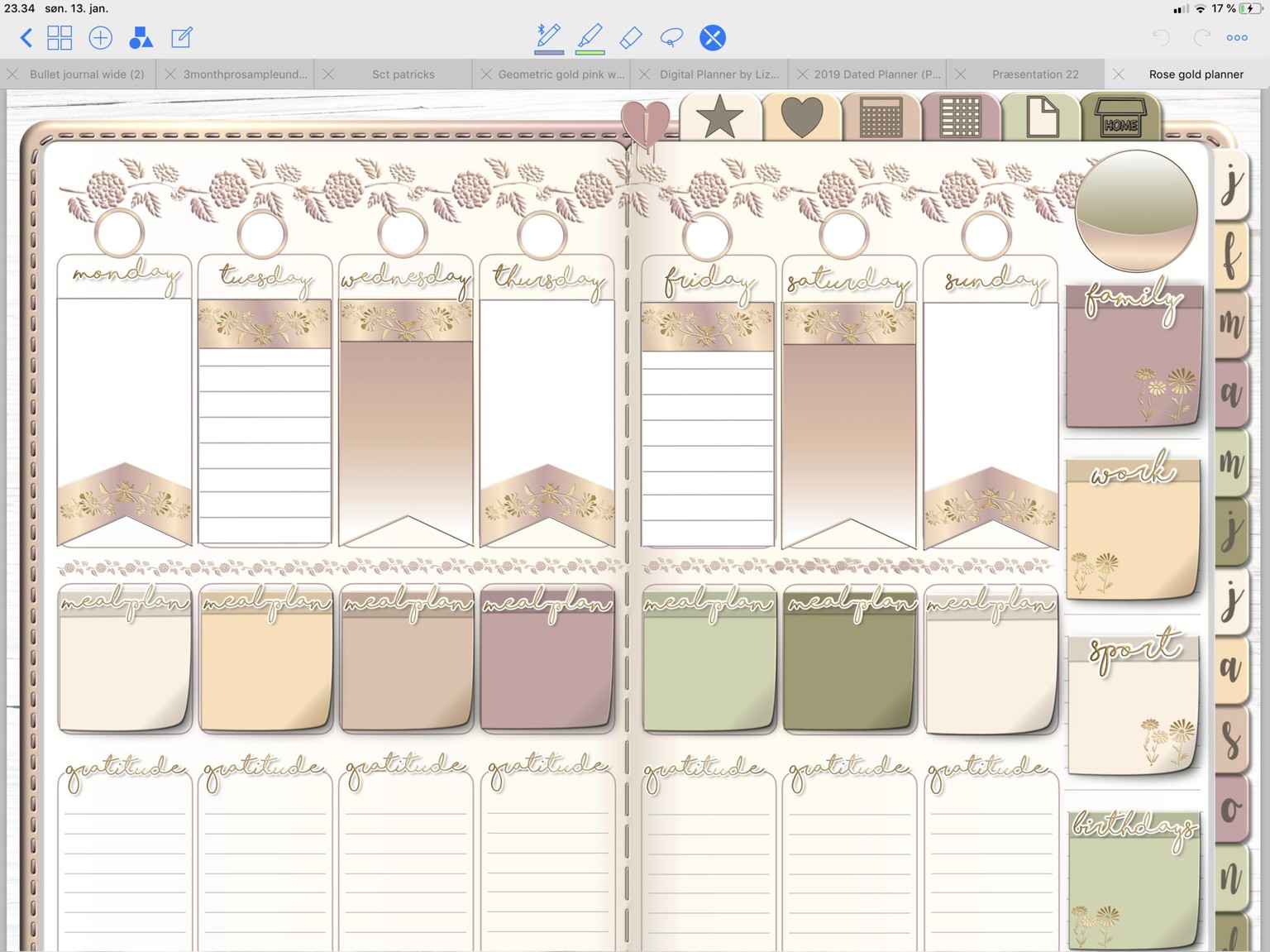 pages in my new planner - image 4 - student project