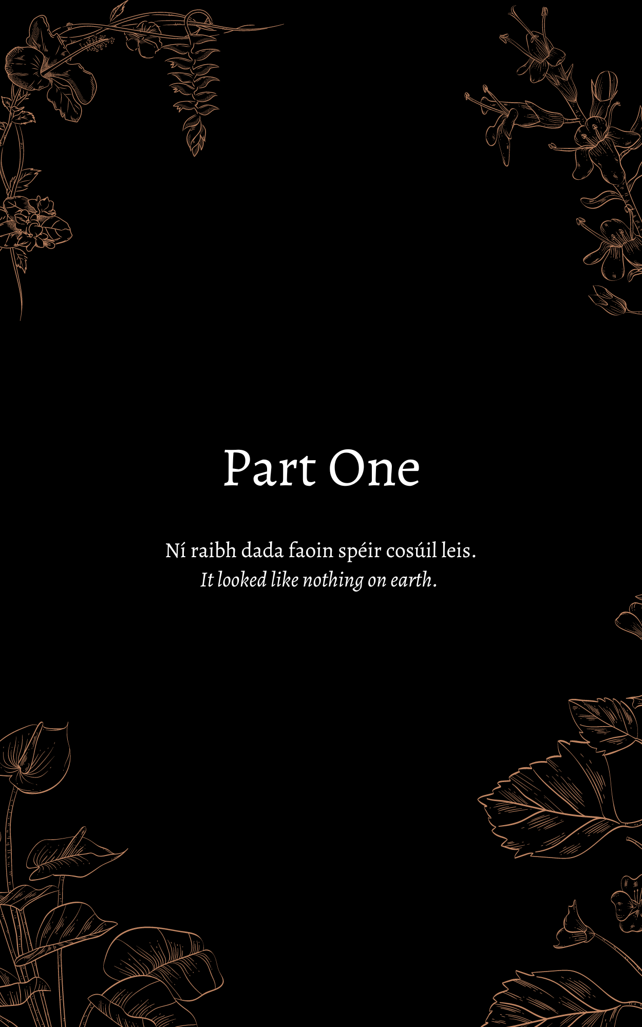 My poetry book (beginning design stages) - image 1 - student project