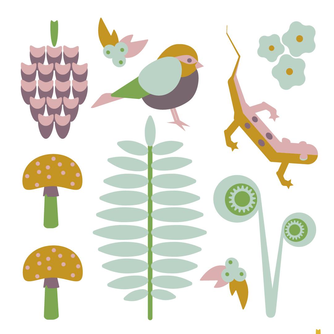FOREST FINDS - image 2 - student project