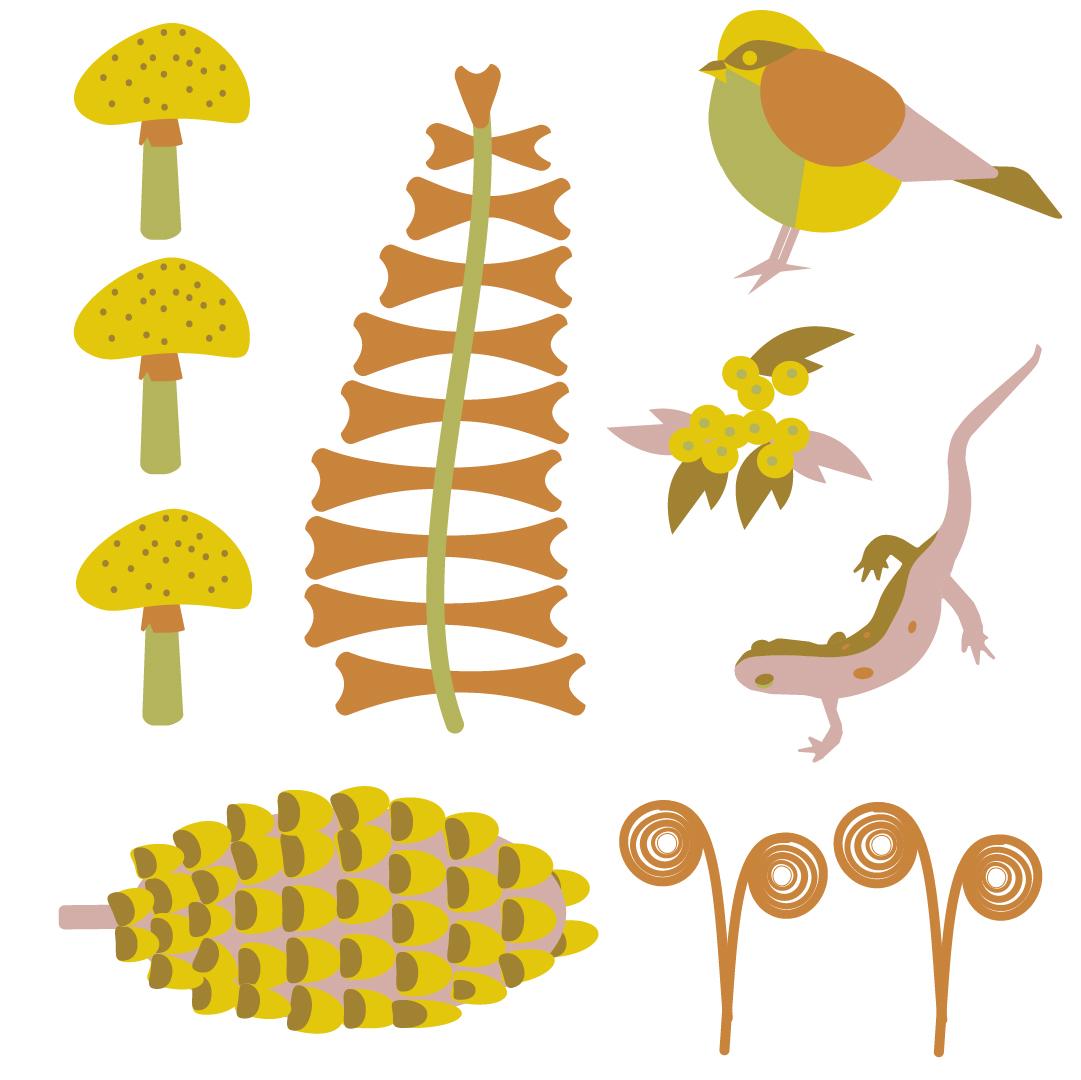 FOREST FINDS - image 6 - student project