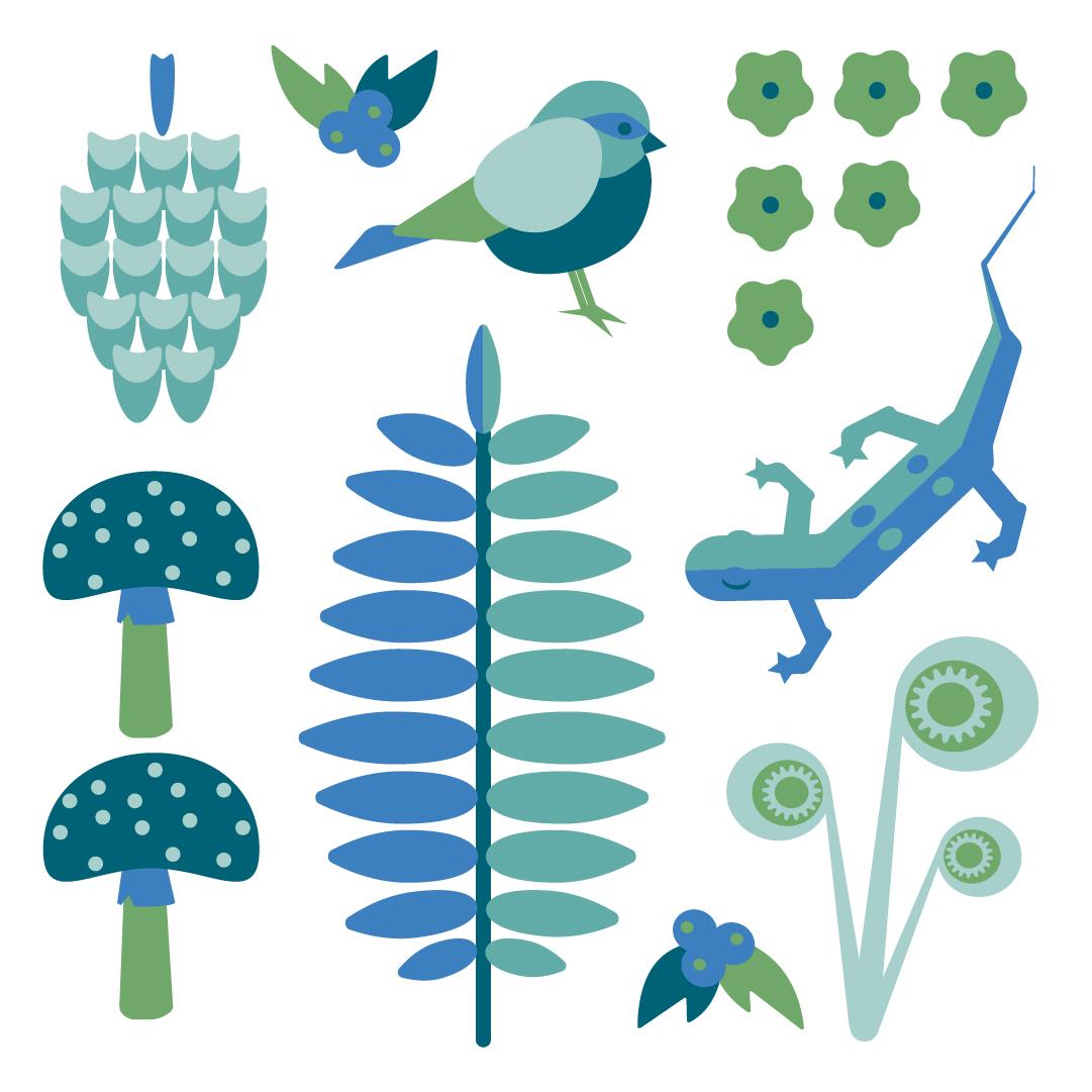 FOREST FINDS - image 1 - student project