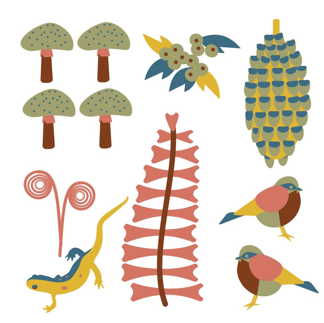 FOREST FINDS - image 4 - student project