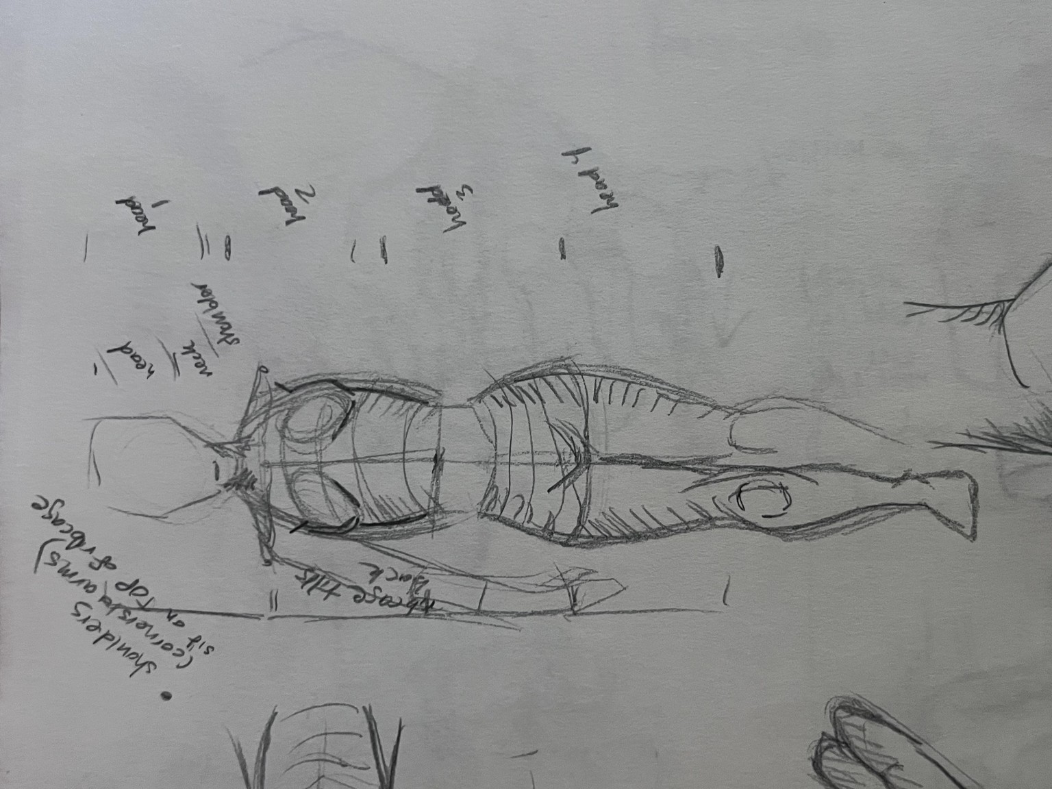 times drawings from lesson: proportion and balance - image 1 - student project
