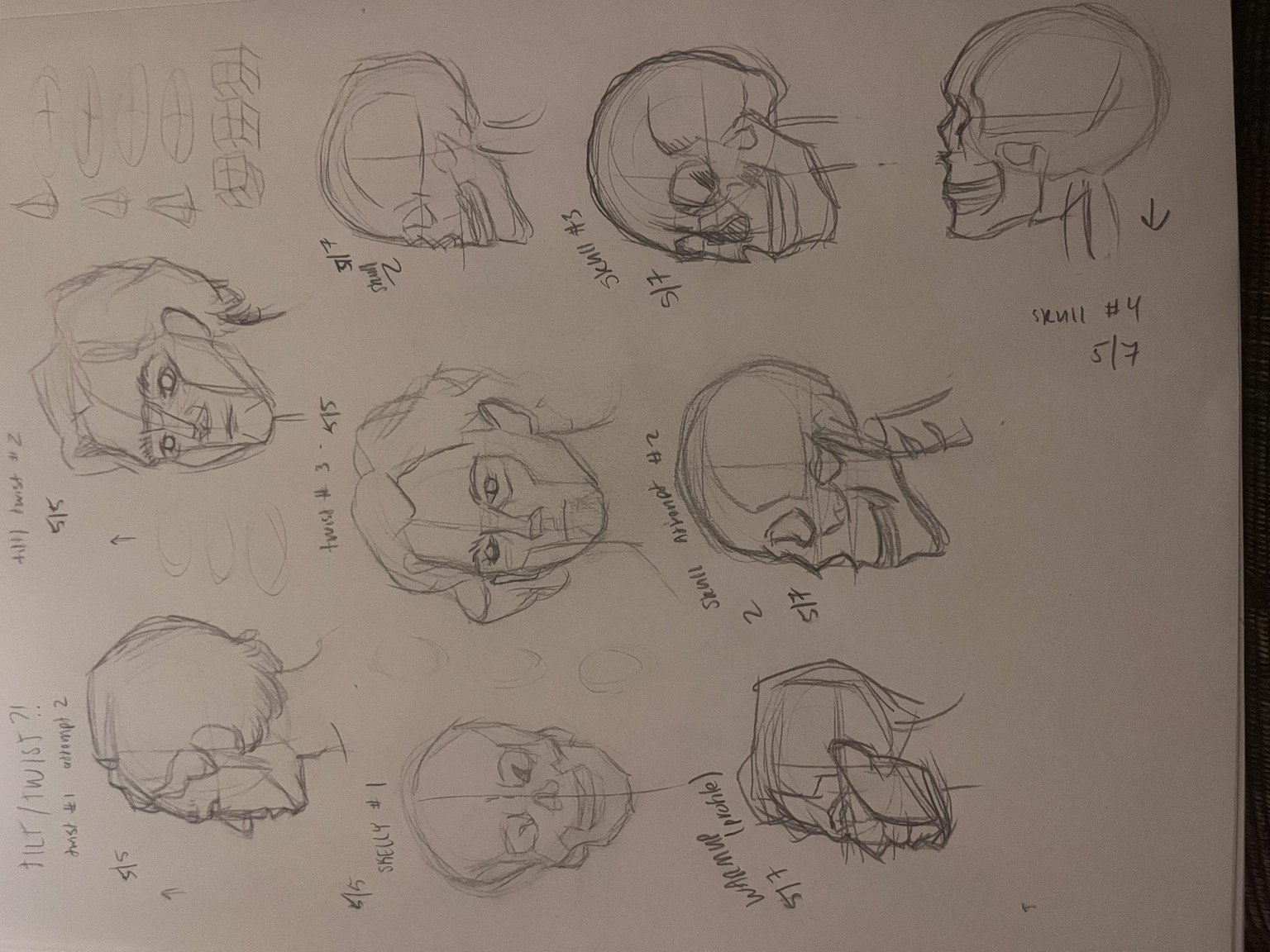 constructing the head pt1 - image 9 - student project