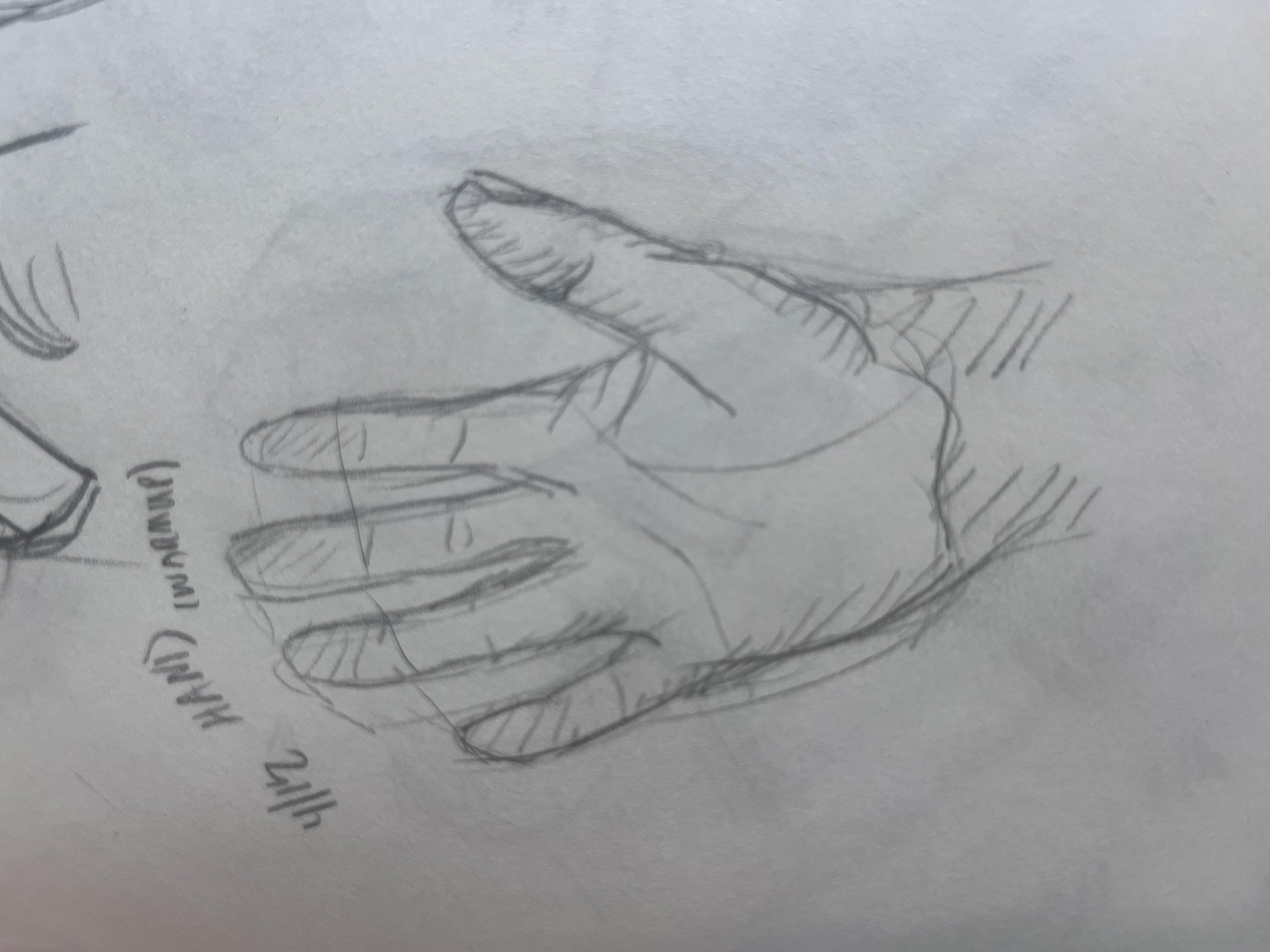 hands, feet, torso - image 3 - student project