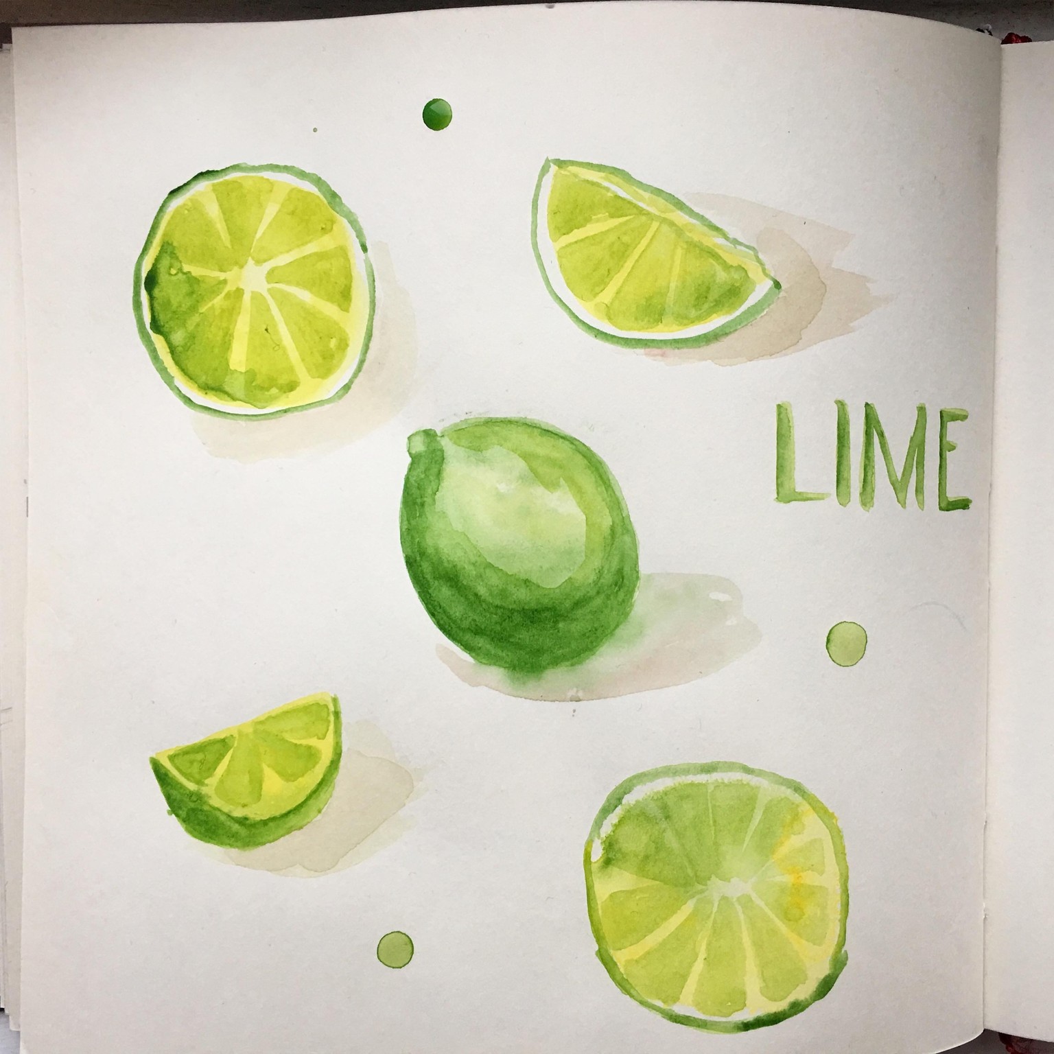 New sketchbook and 365 challenge! - image 2 - student project