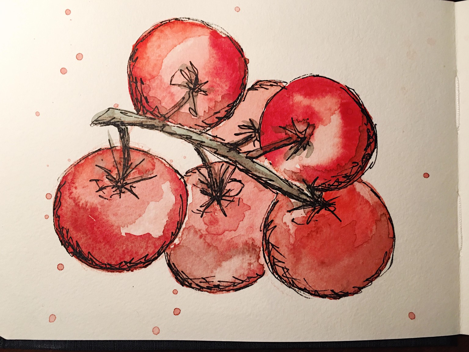 New sketchbook and 365 challenge! - image 1 - student project