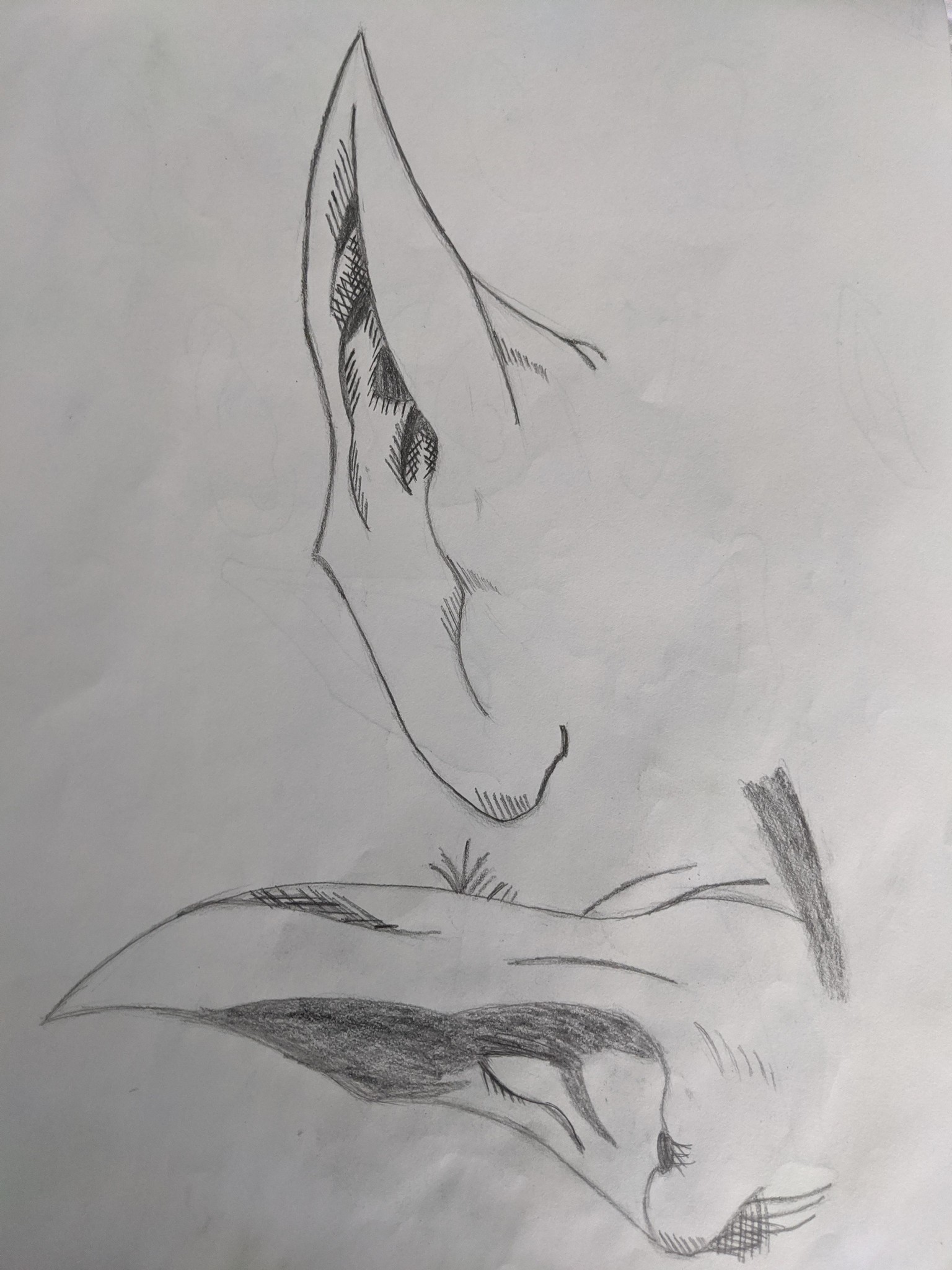Ears - image 3 - student project