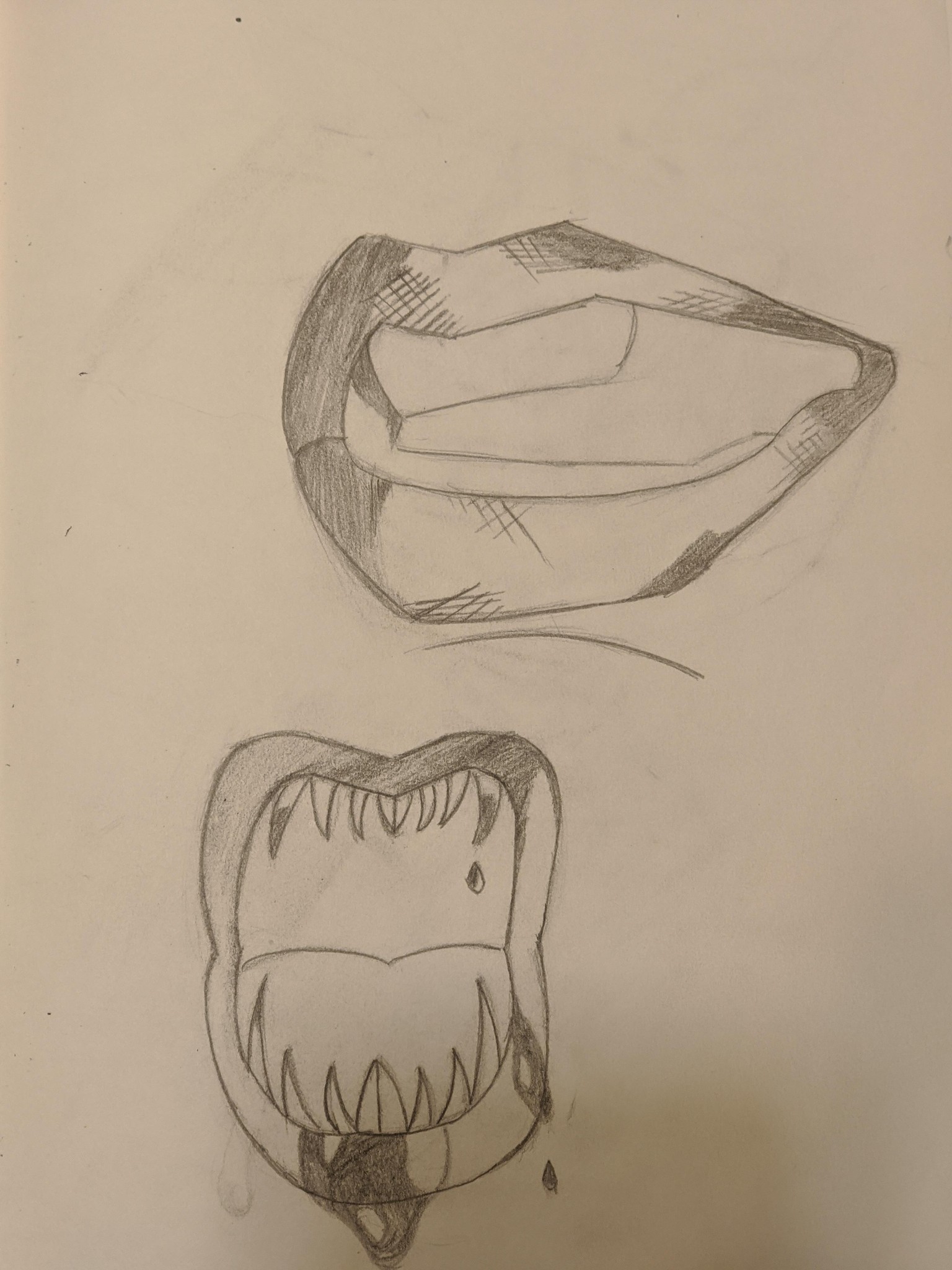 Mouths - image 1 - student project