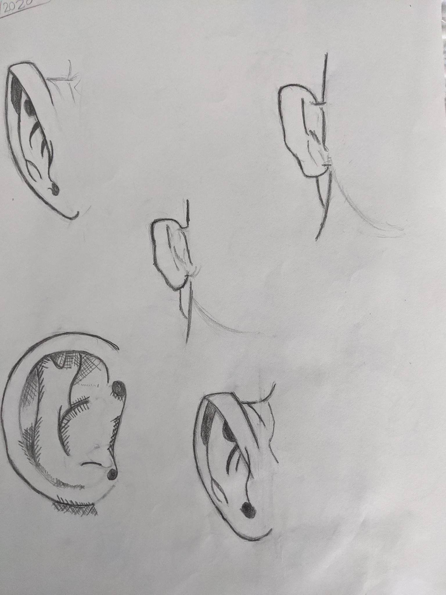 Ears - image 2 - student project