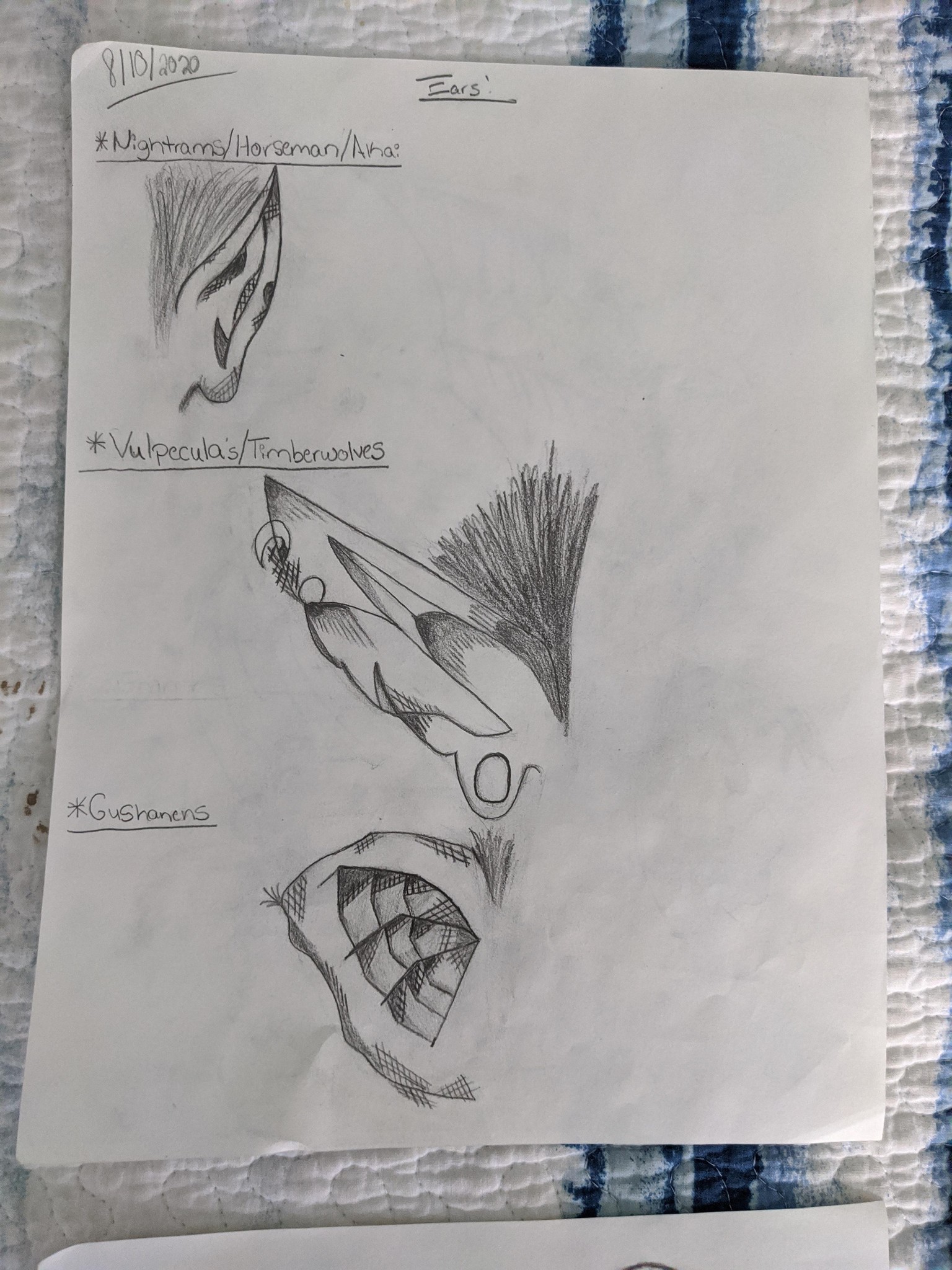 Ears - image 5 - student project