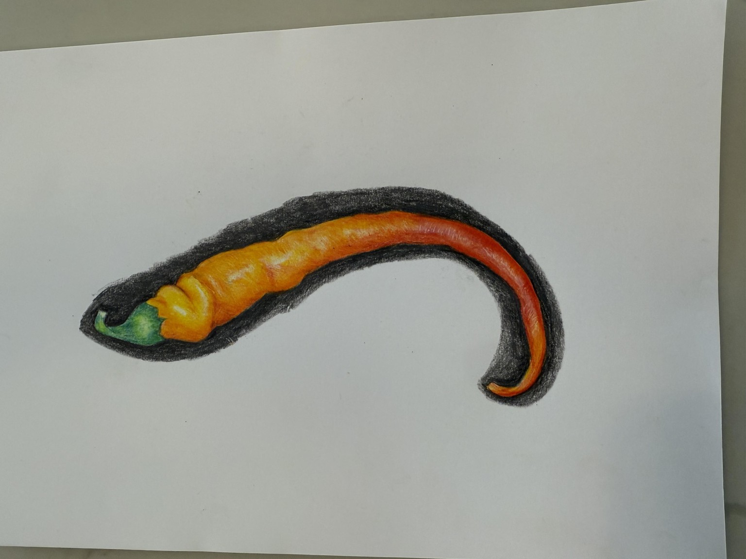 Chili Pepper - image 1 - student project