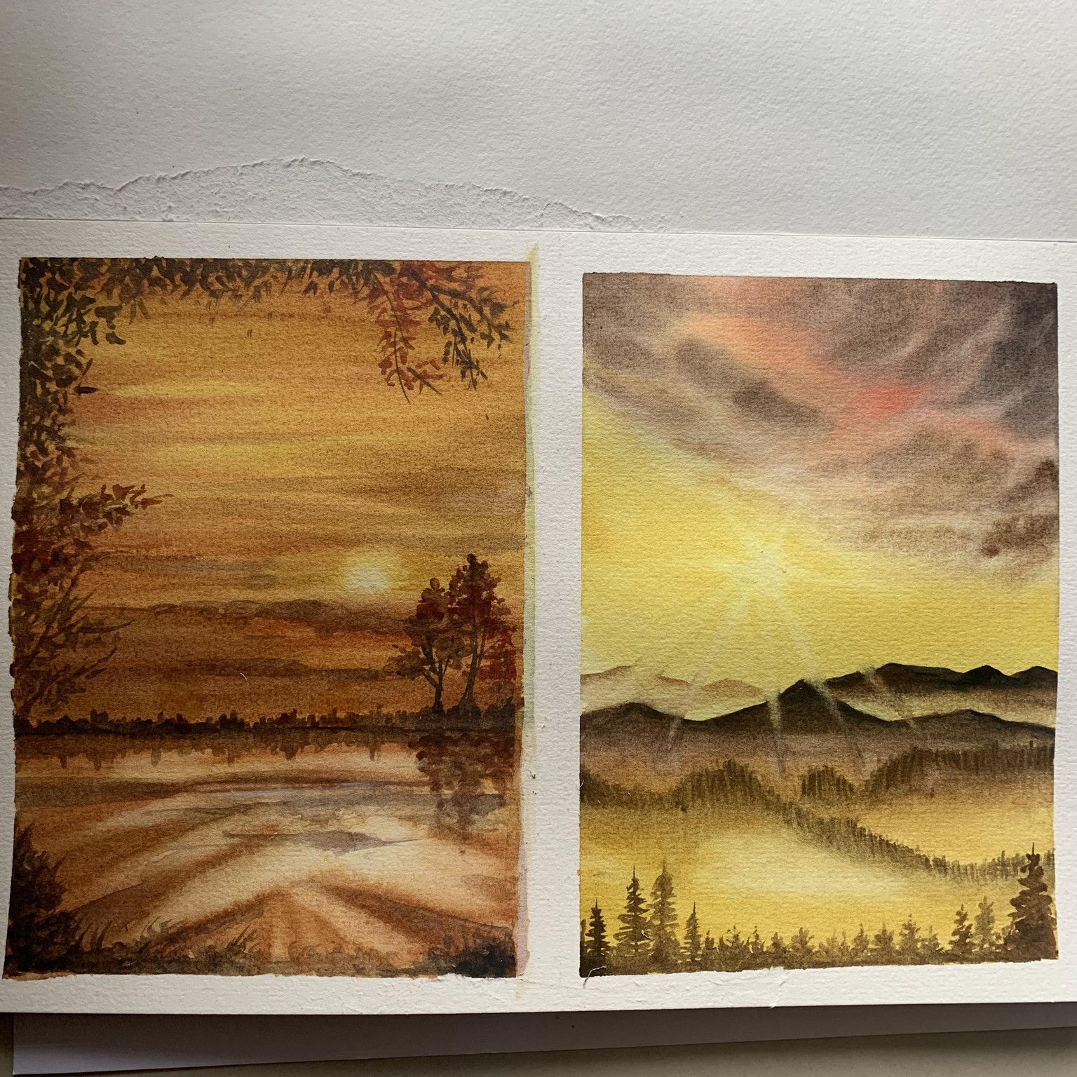 Golden hour landscape - image 1 - student project