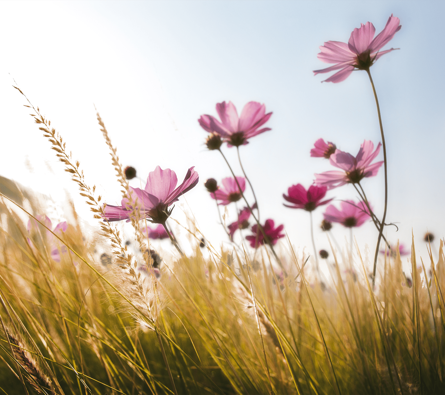 ADOBE PHOTOSHOP - COURSE - image 3 - student project