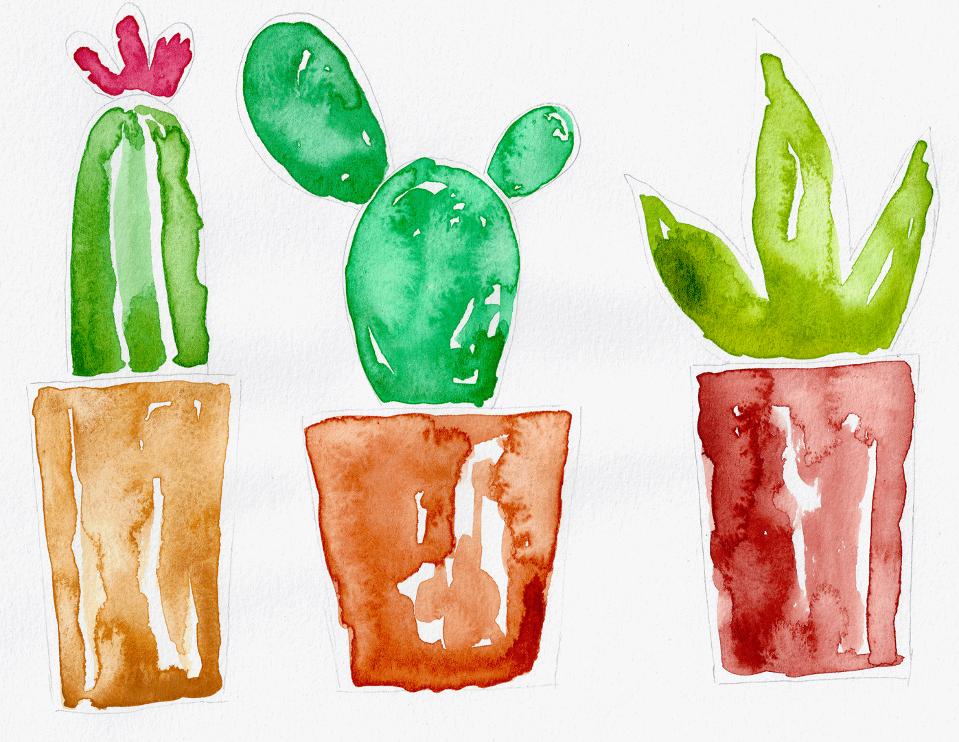 Cacti in Pots - image 6 - student project