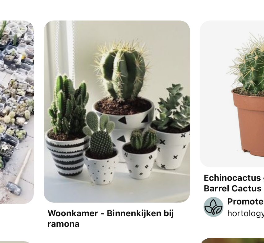 Cacti in Pots - image 4 - student project
