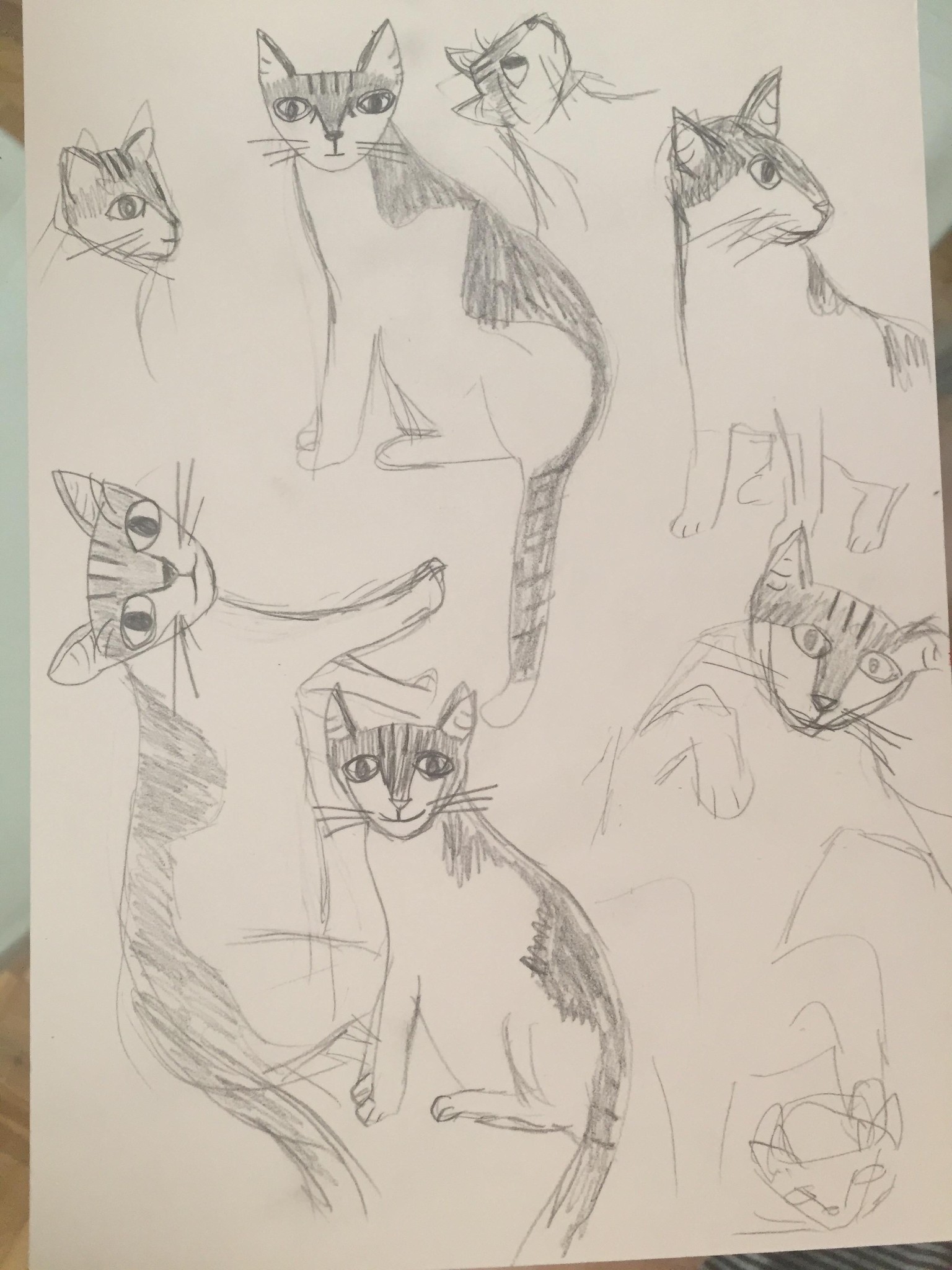 Madame Bovary cat - image 4 - student project