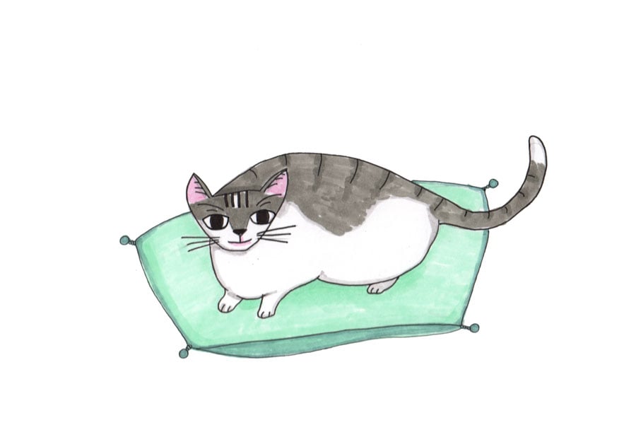 Madame Bovary cat - image 2 - student project
