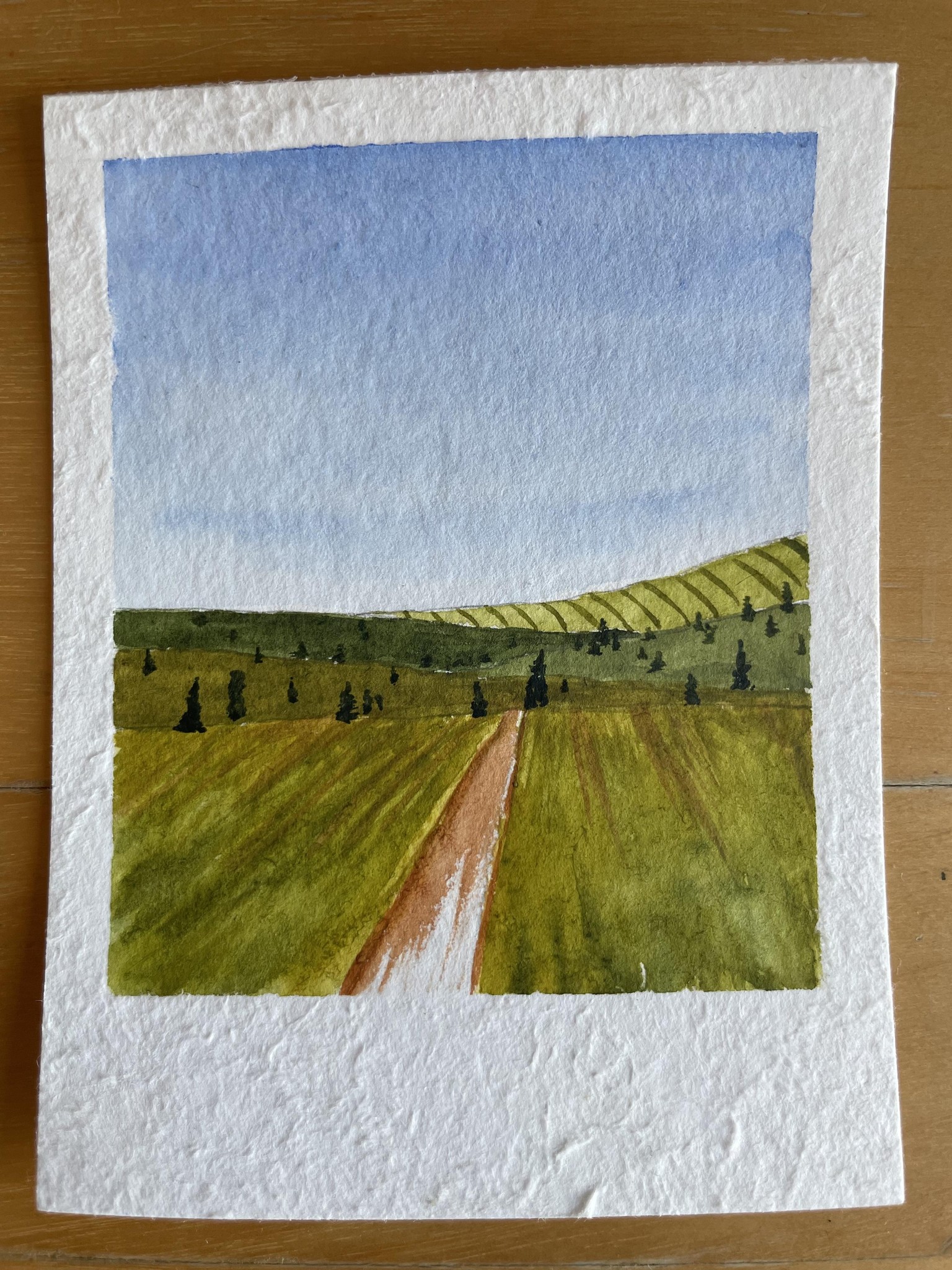 15 Polaroid Mini Landscape Challenge - image 1 - student project