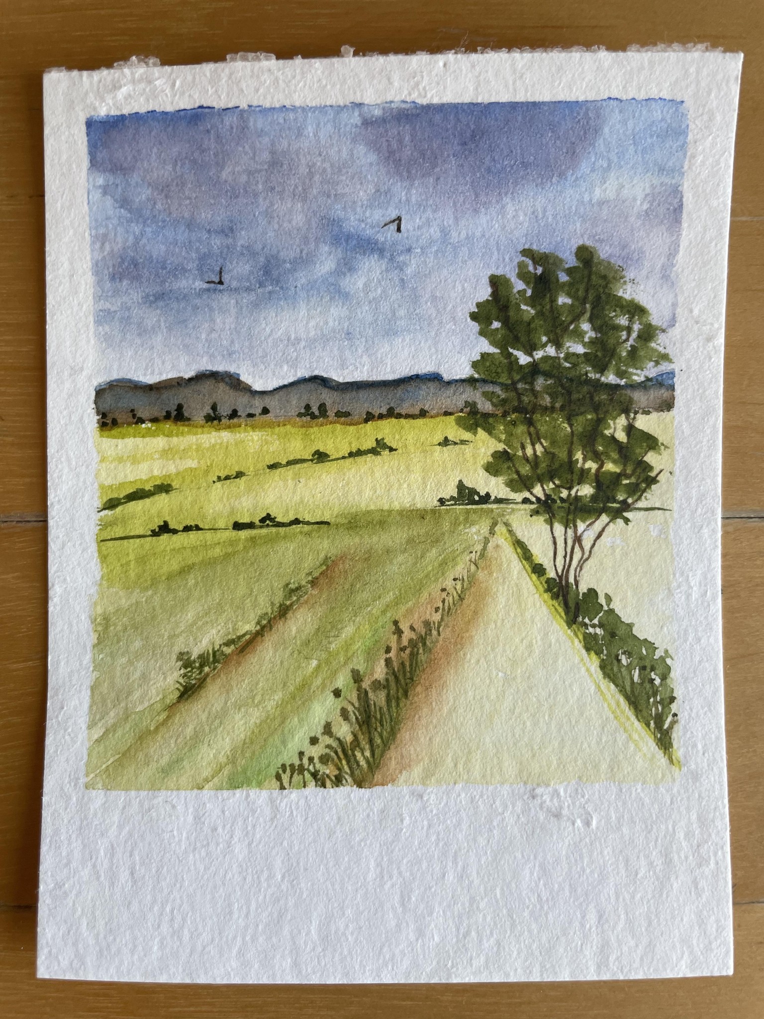 15 Polaroid Mini Landscape Challenge - image 4 - student project