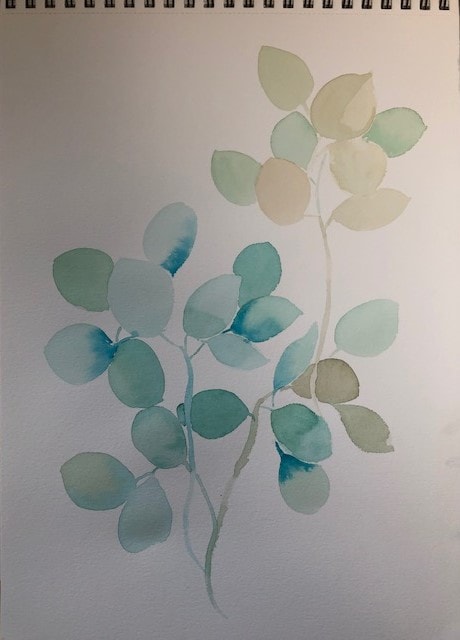 Eucalyptus - image 1 - student project
