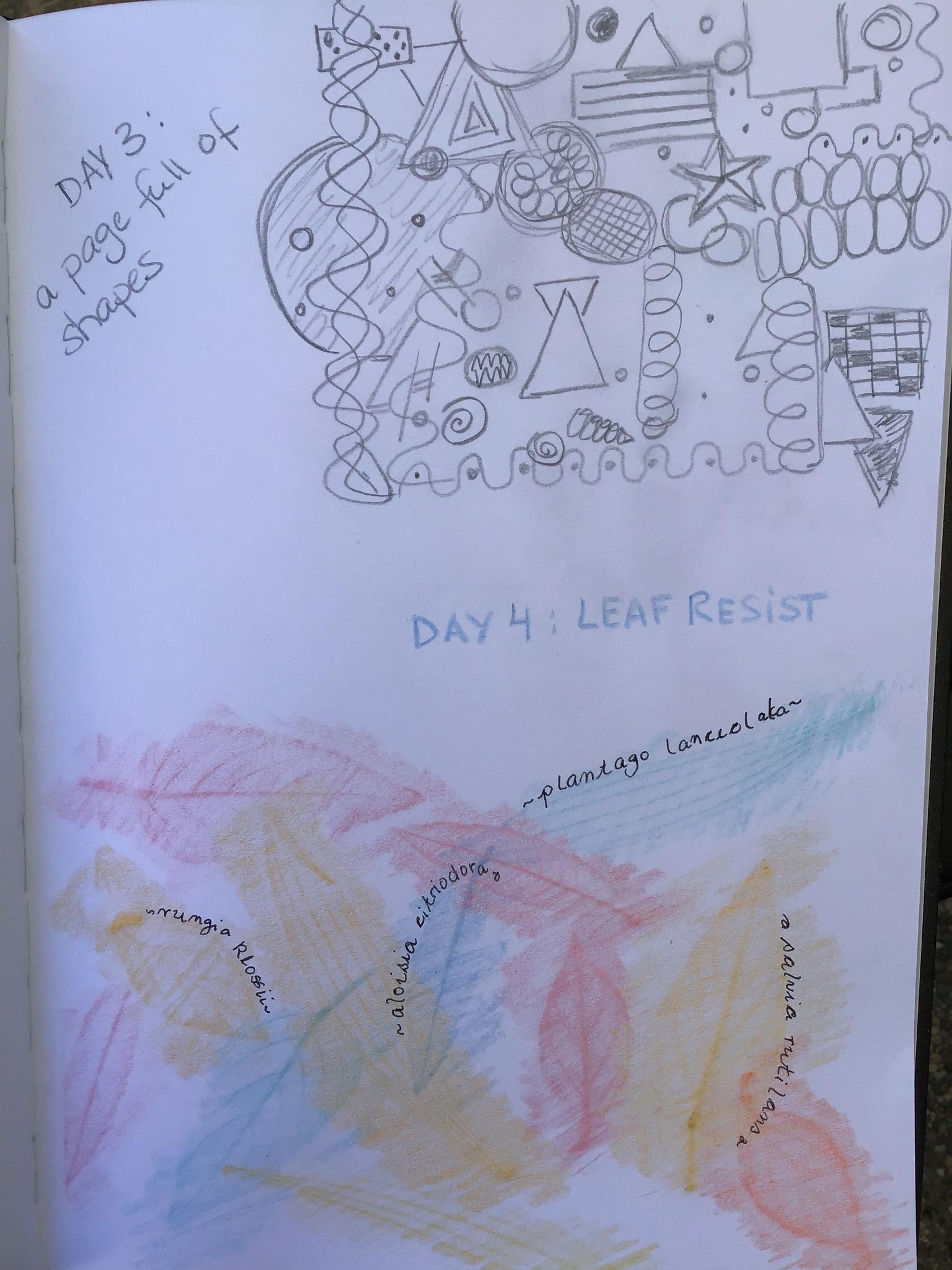 10 Days of Creativity - image 2 - student project