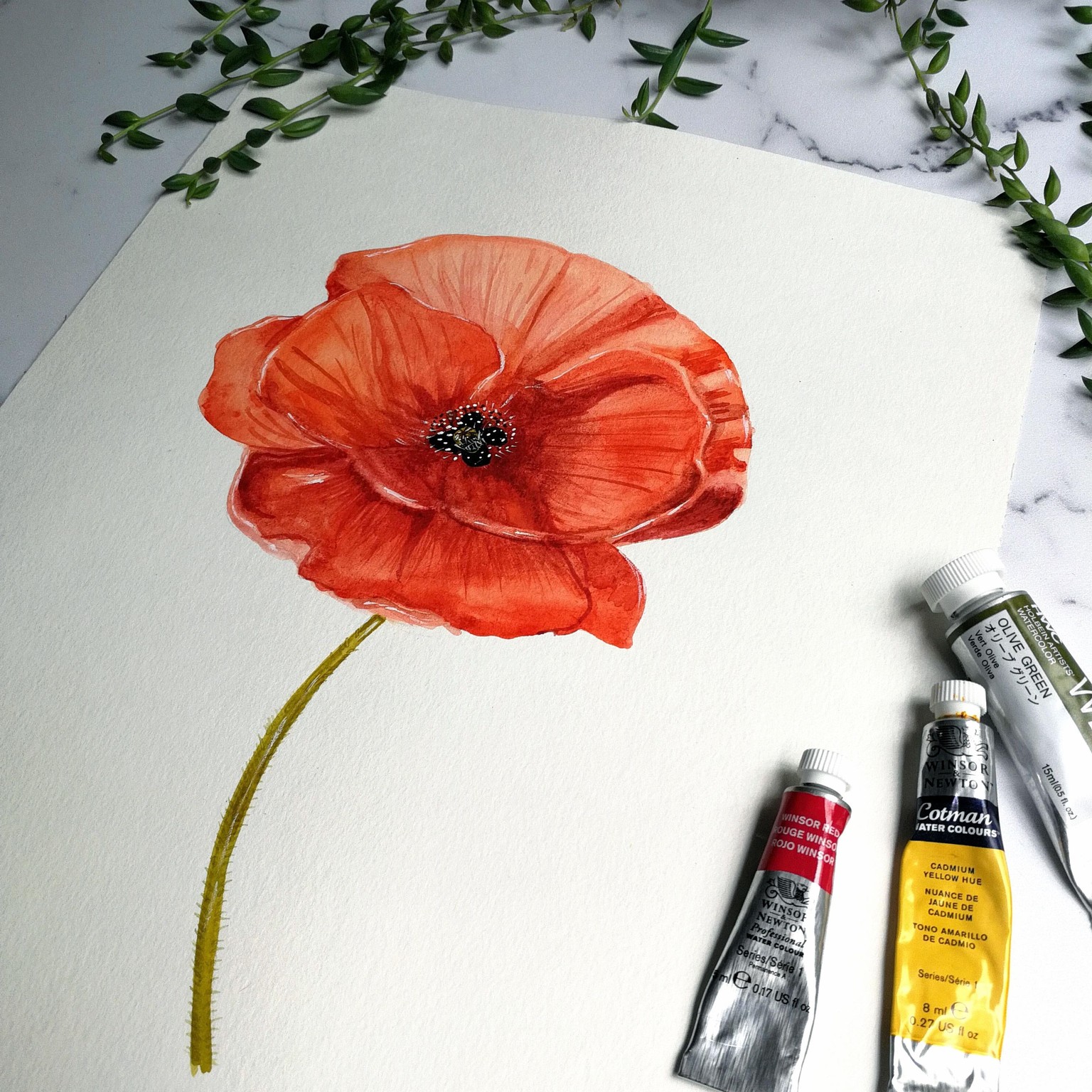 WATERCOLOR POPPIES - image 1 - student project