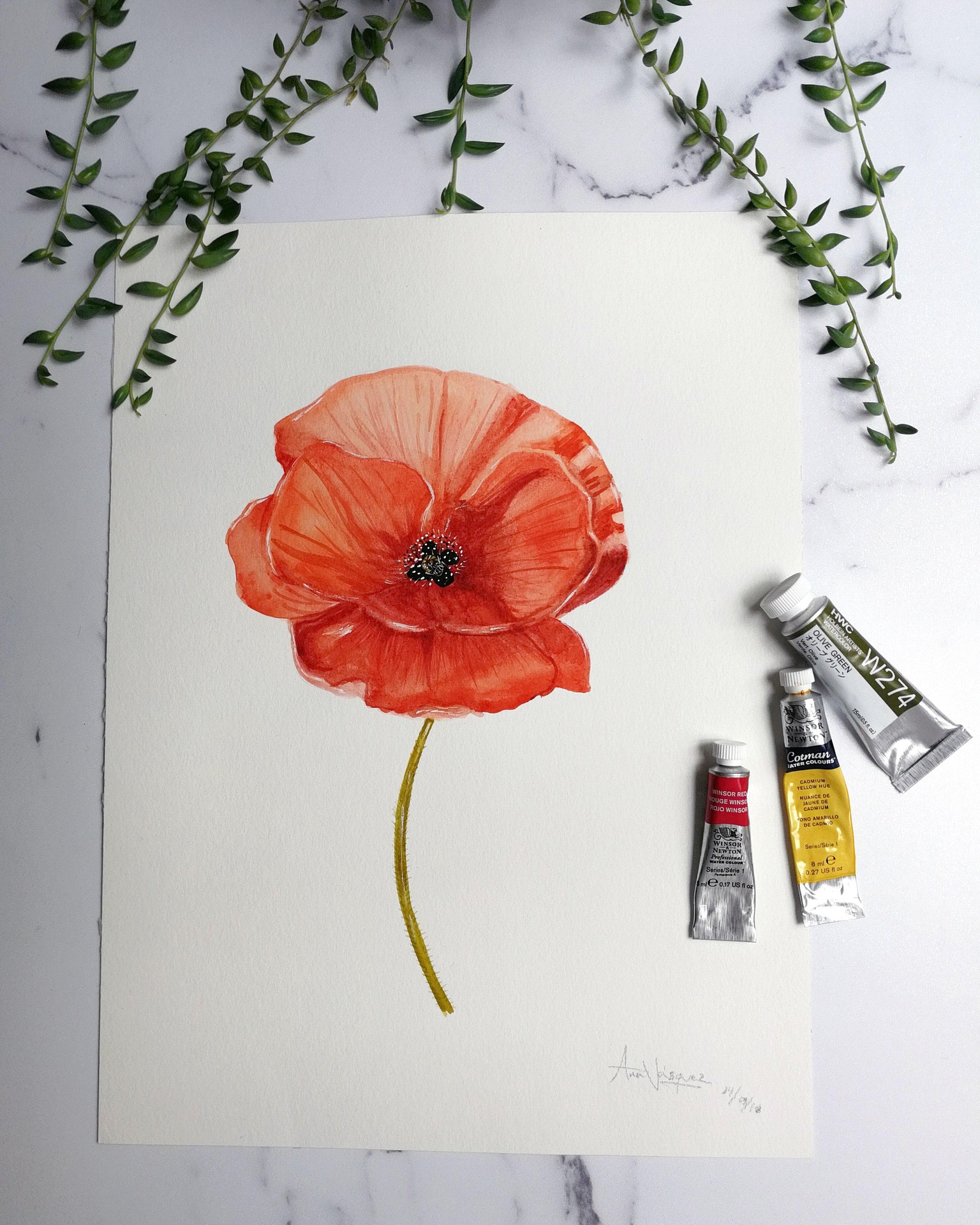 WATERCOLOR POPPIES - image 2 - student project