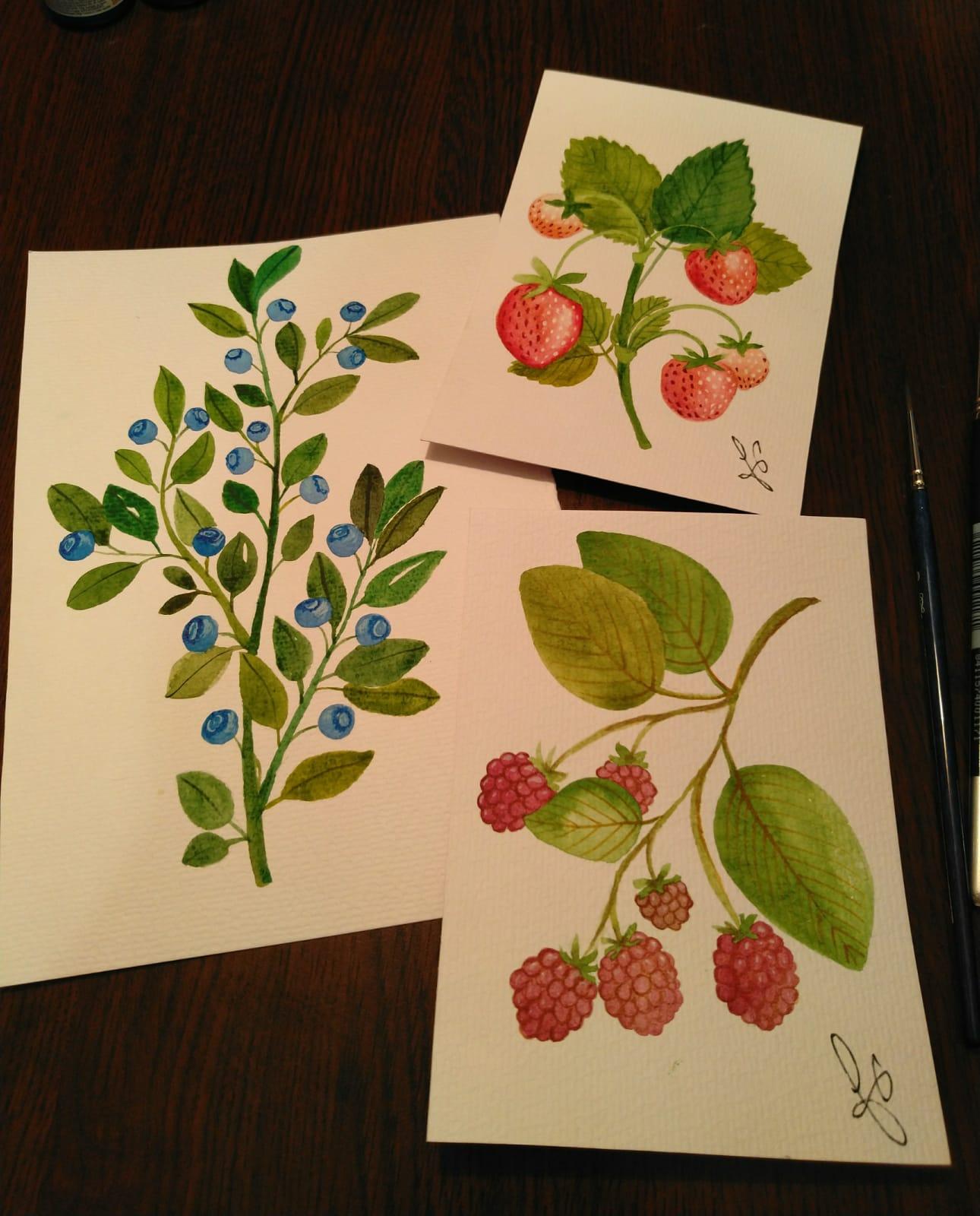 Cute berries! - image 1 - student project