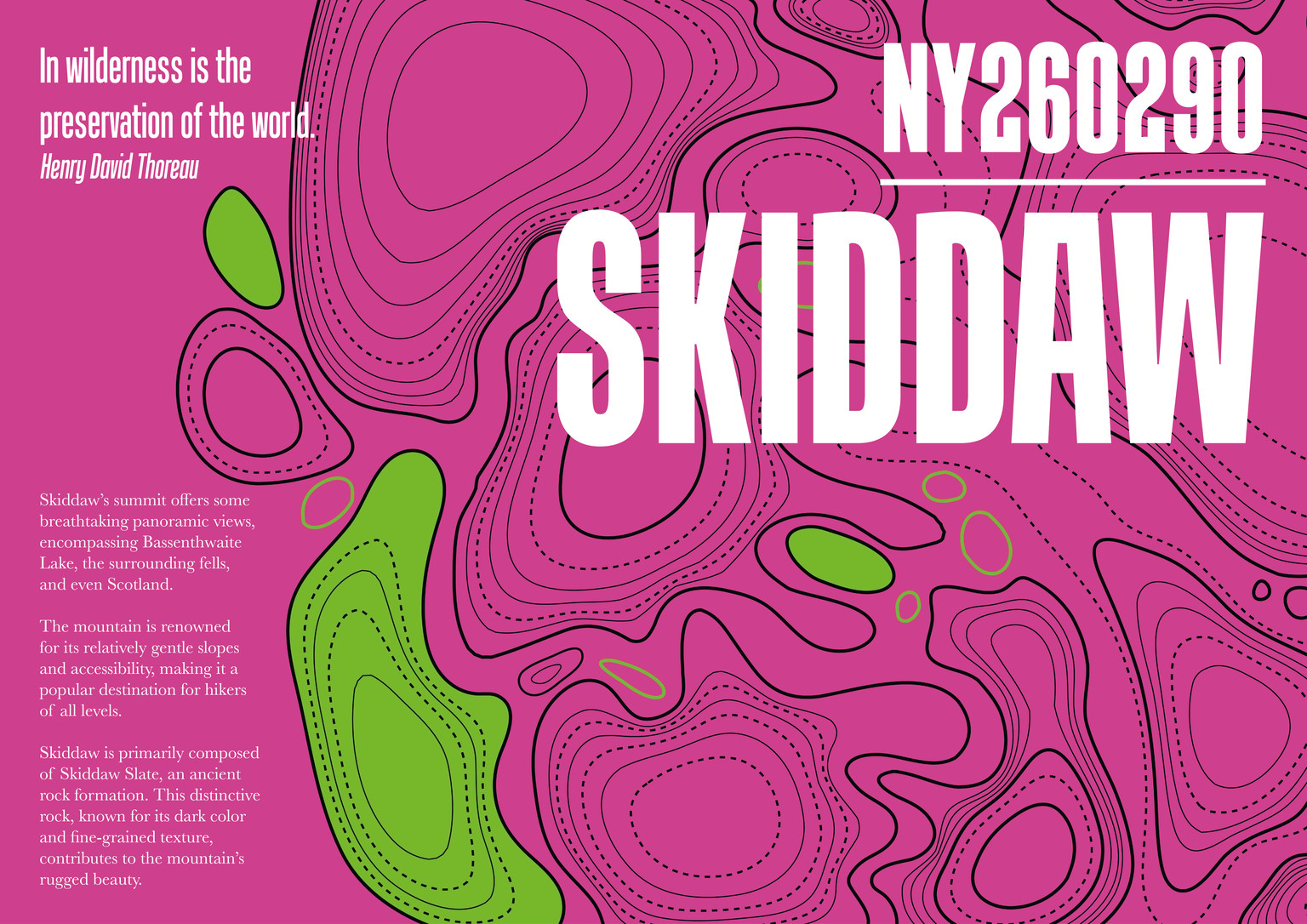 Contemporary Peaks: a modern topographic identity - image 3 - student project