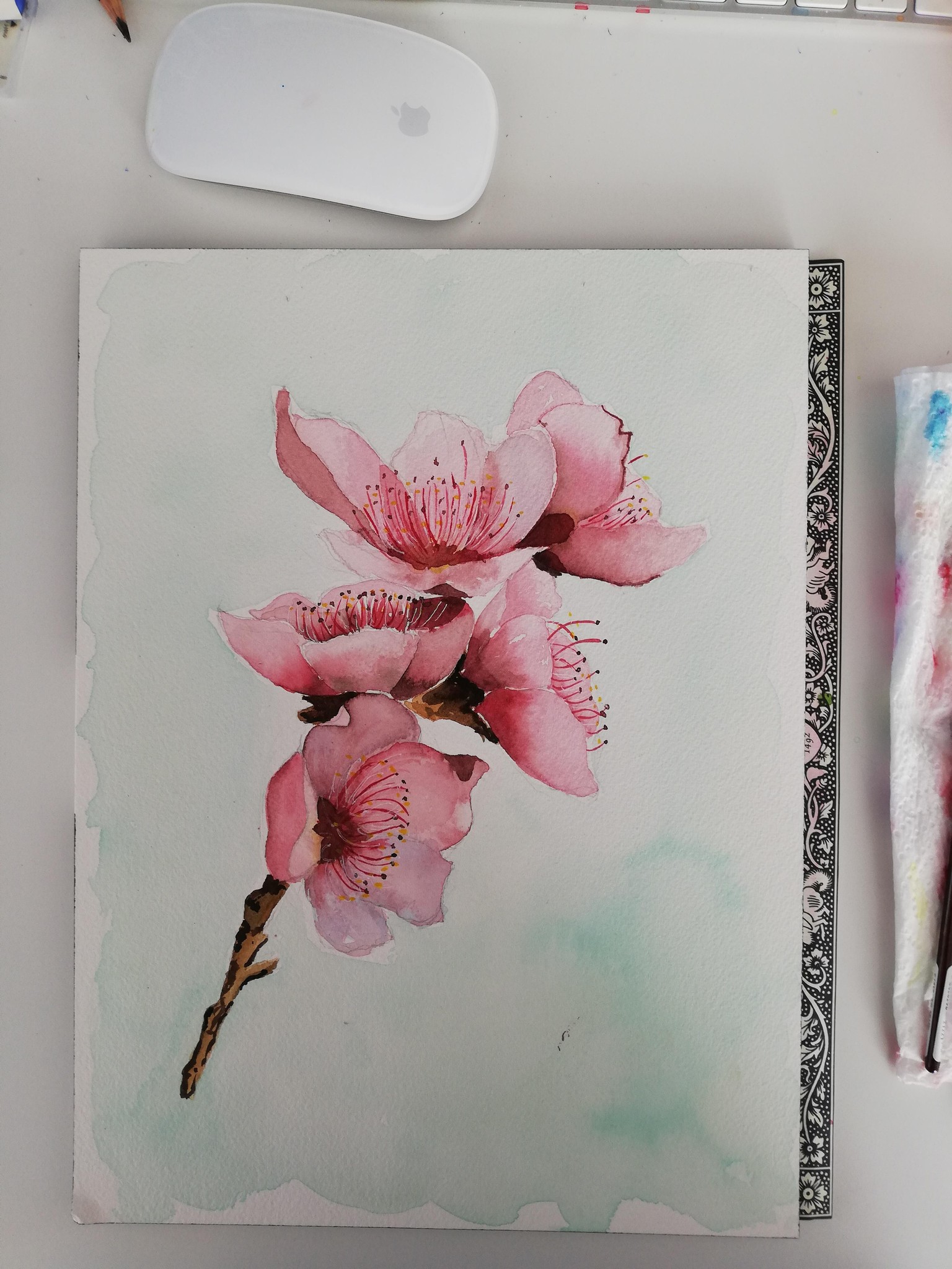 Cherry blossom - image 1 - student project