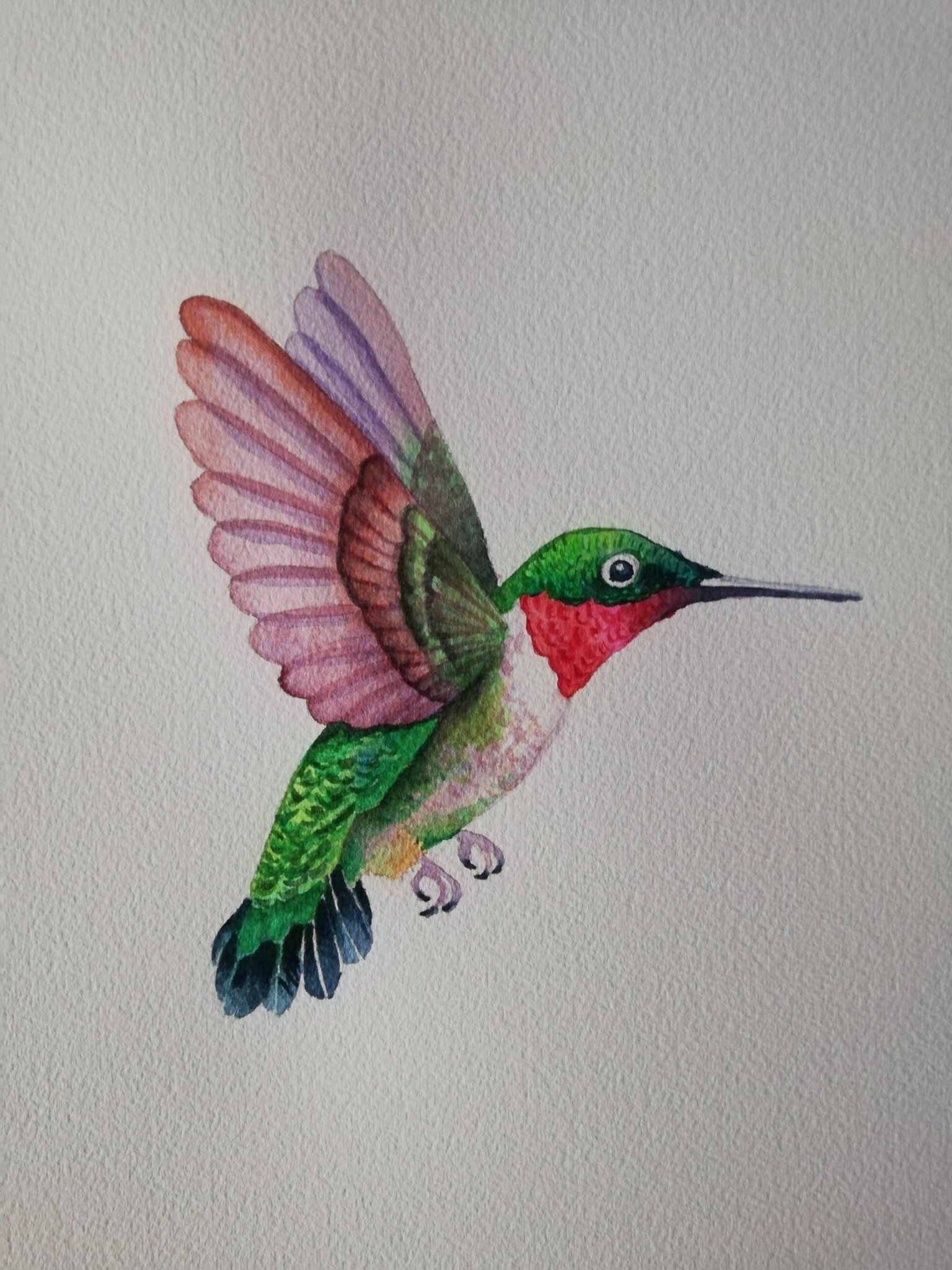 Watercolor hummingbird - image 2 - student project